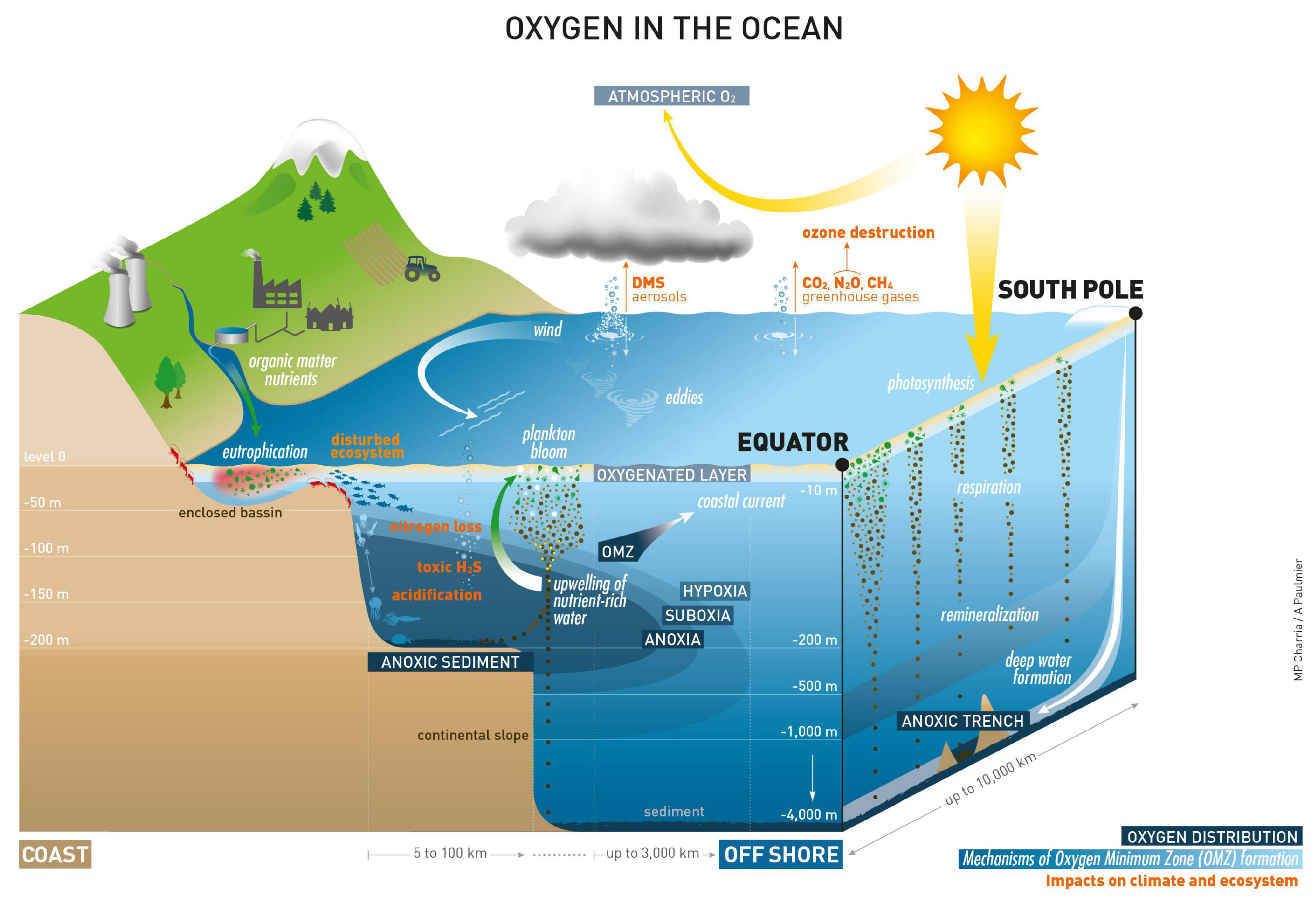 Oxygen on earth discount