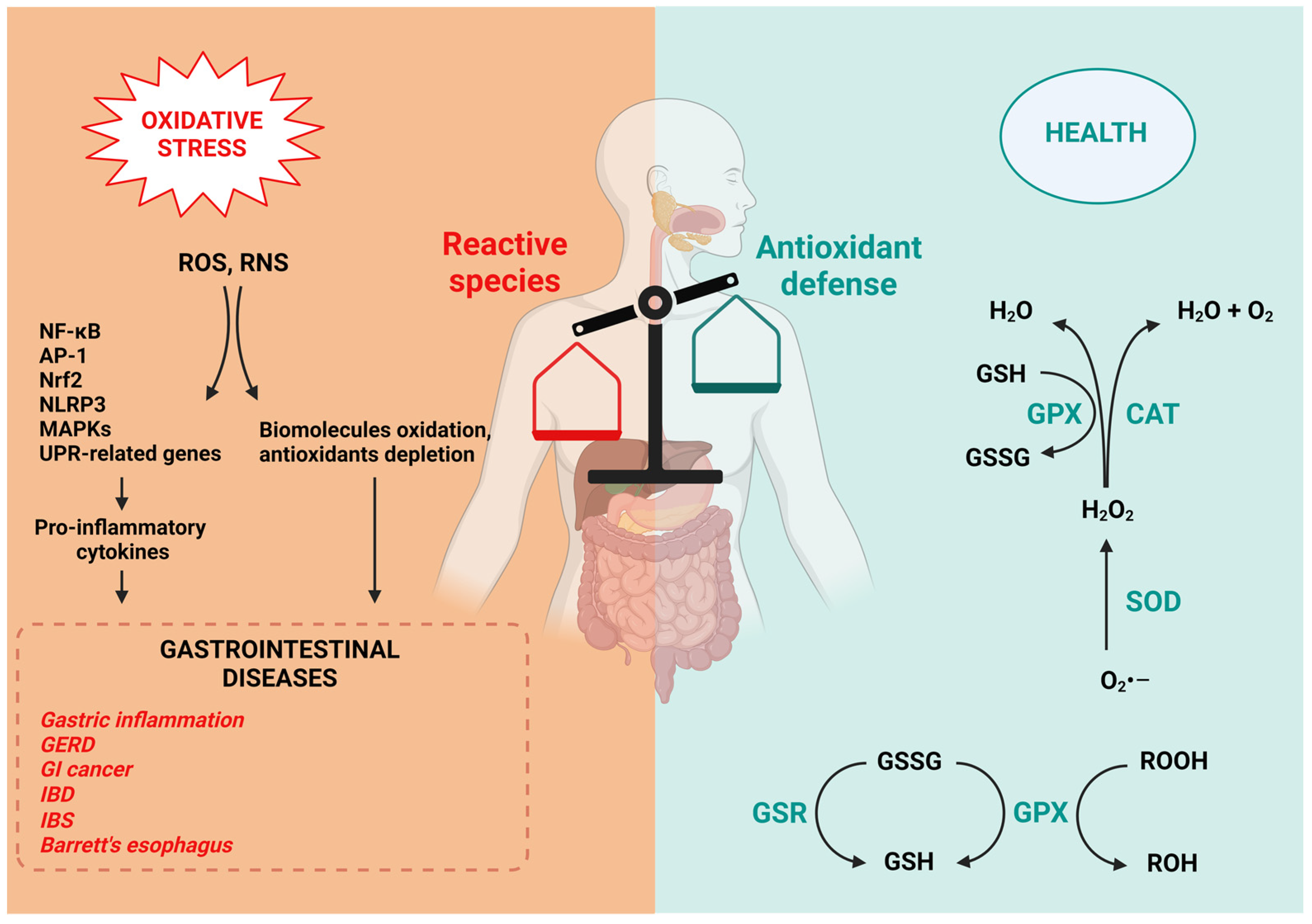 Oxygen 03 00022 g002