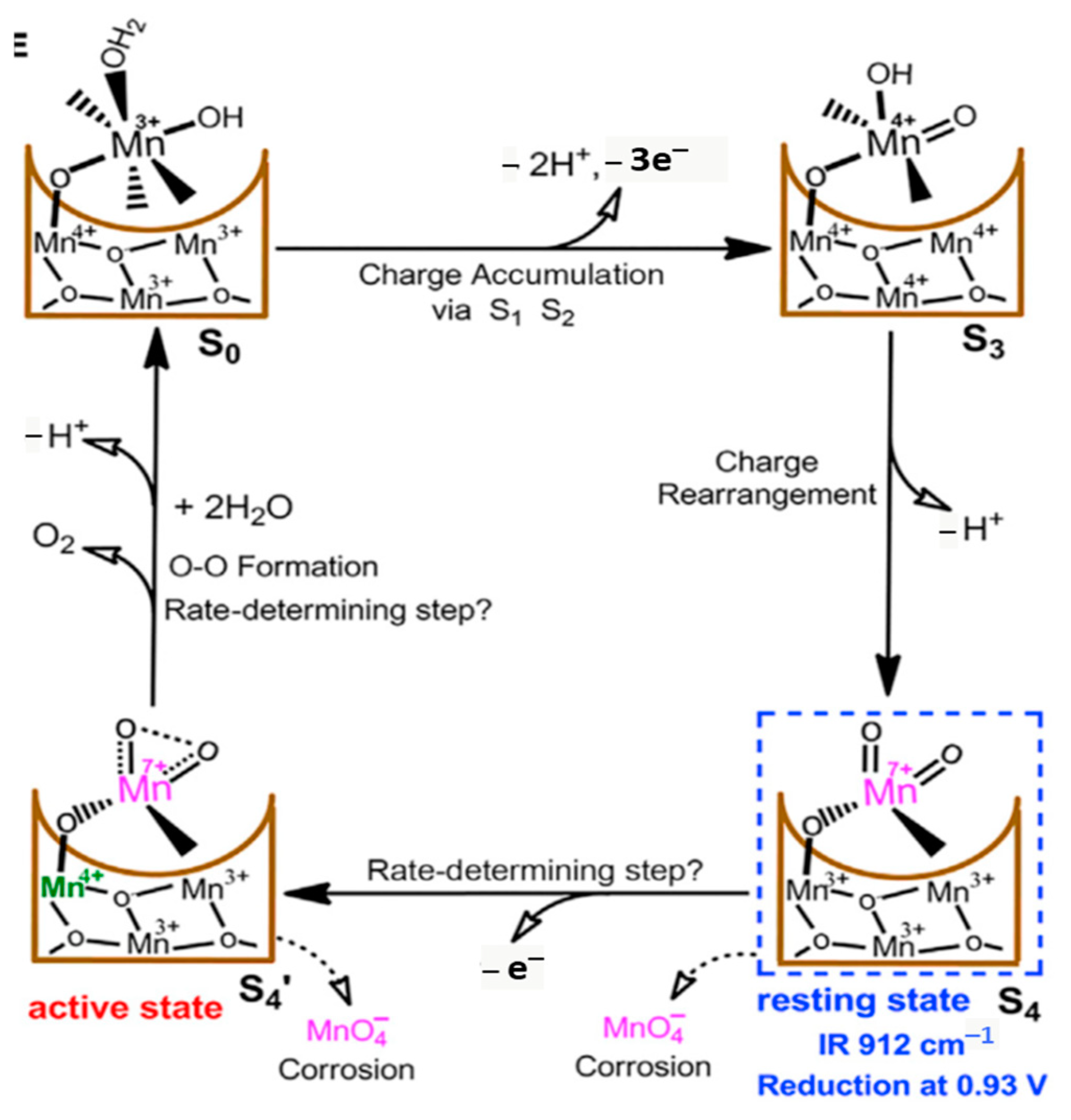 Oxygen 03 00027 g015