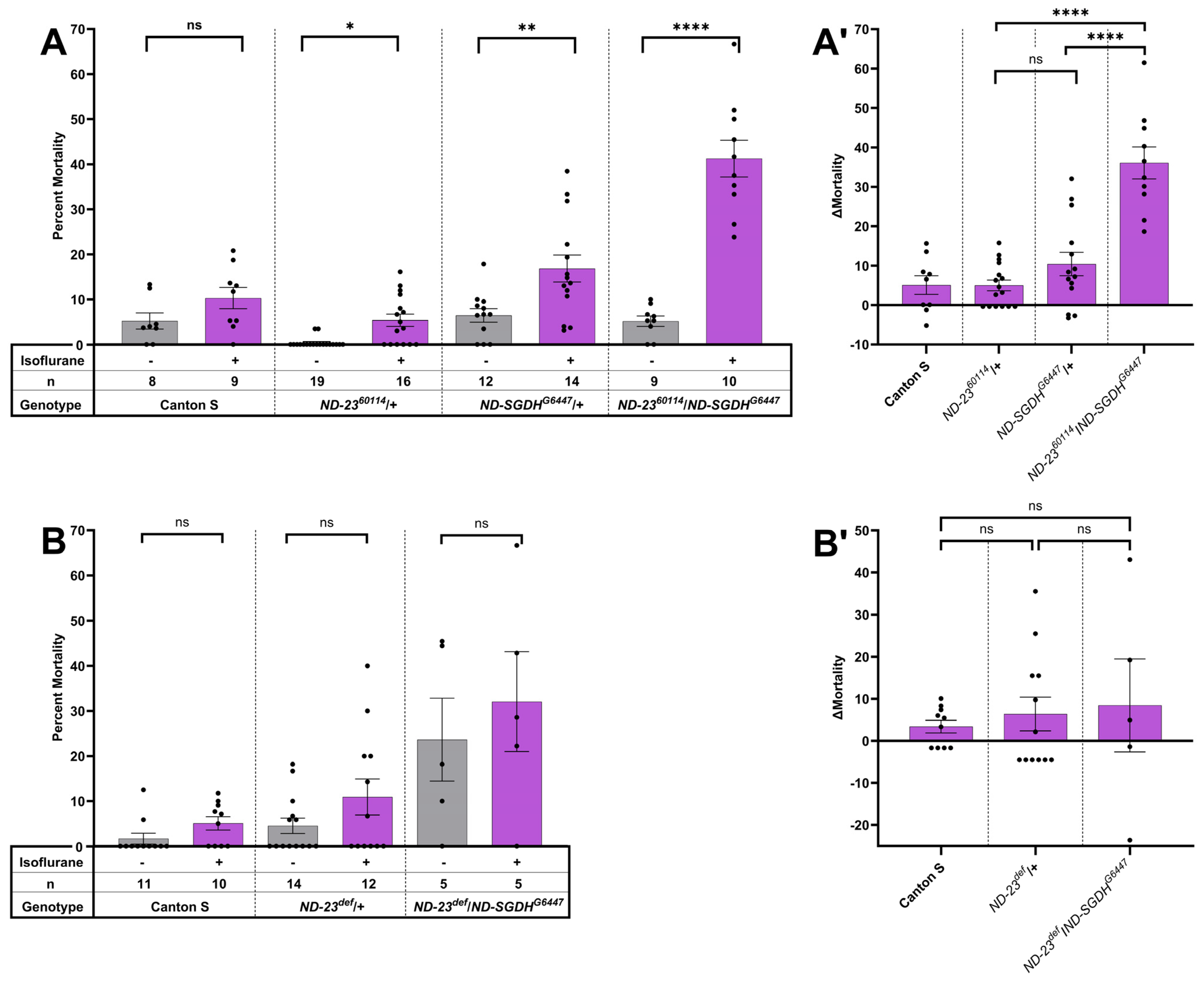 Oxygen 04 00006 g001