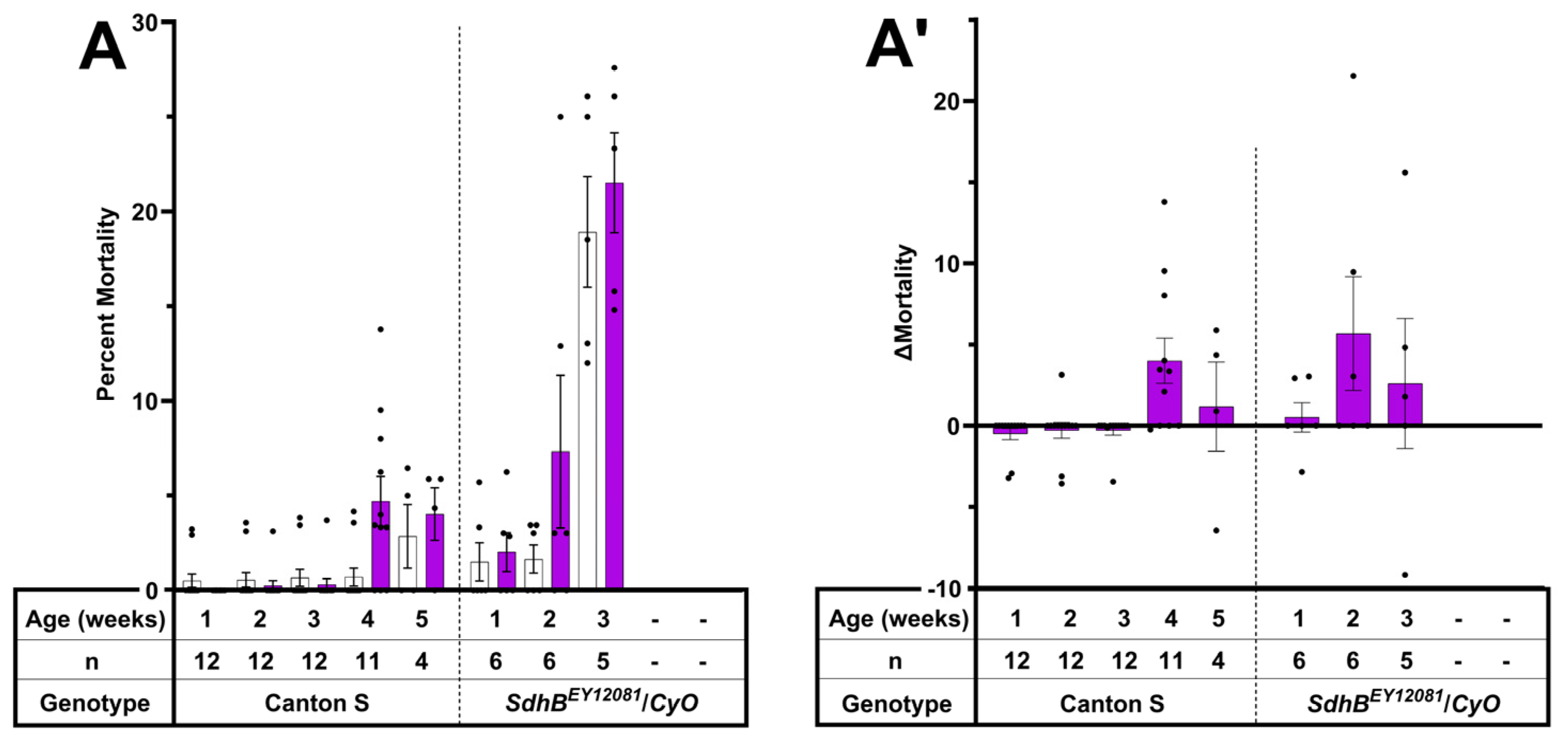 Oxygen 04 00006 g002