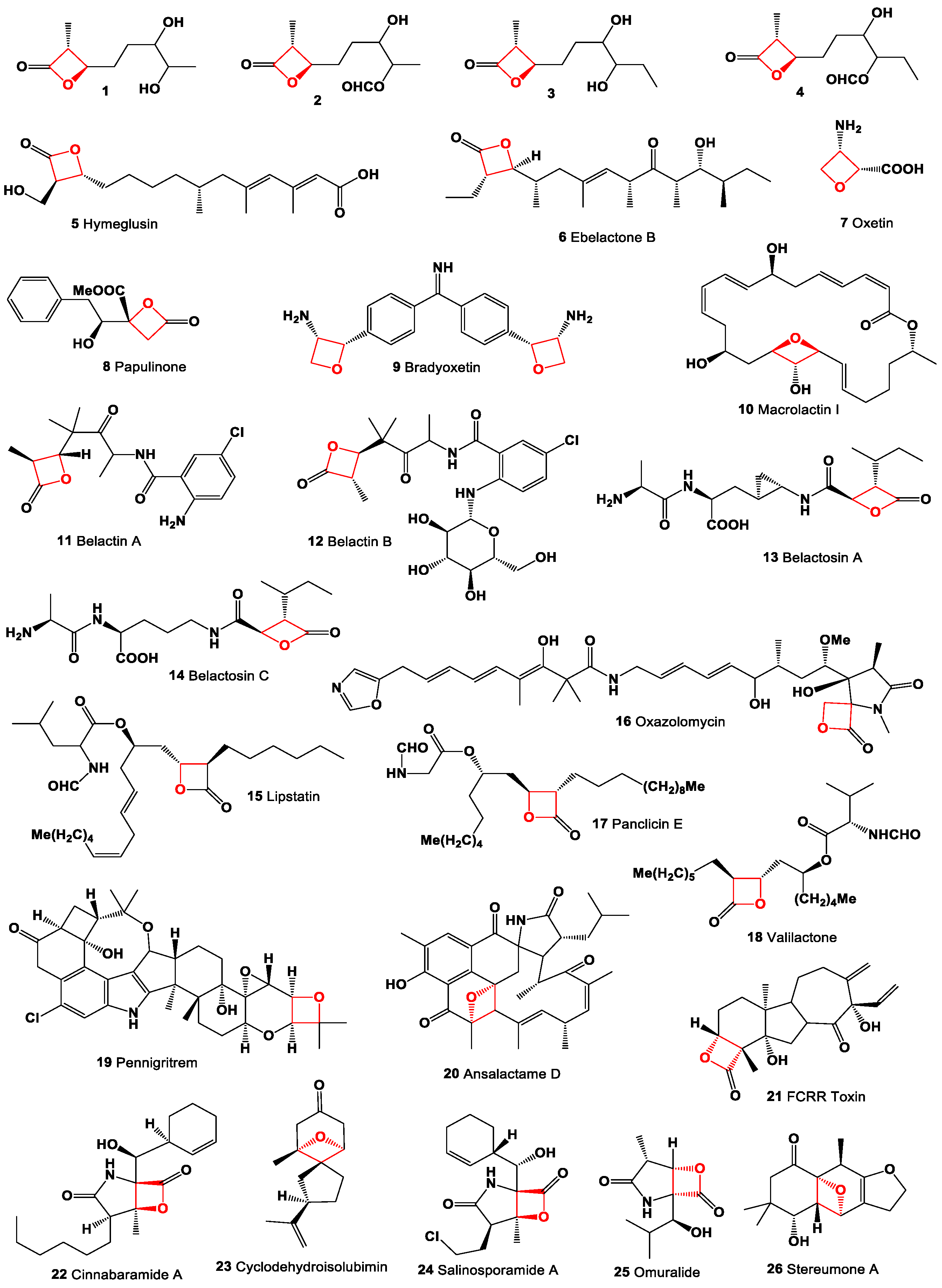 Oxygen 04 00012 g002 Oxygen 04 00012 g002