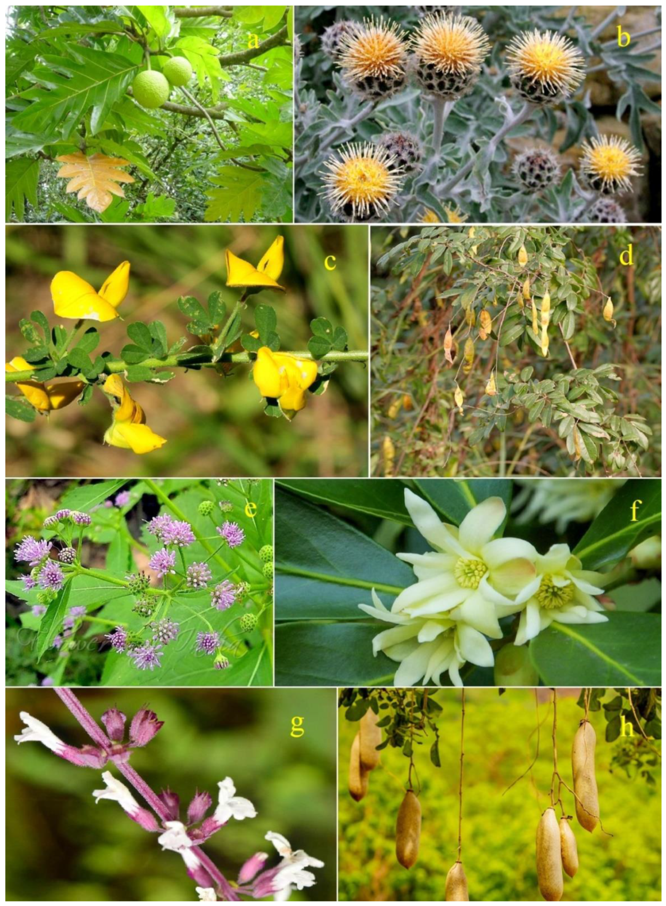 Oxygen 04 00012 g006 Oxygen 04 00012 g006