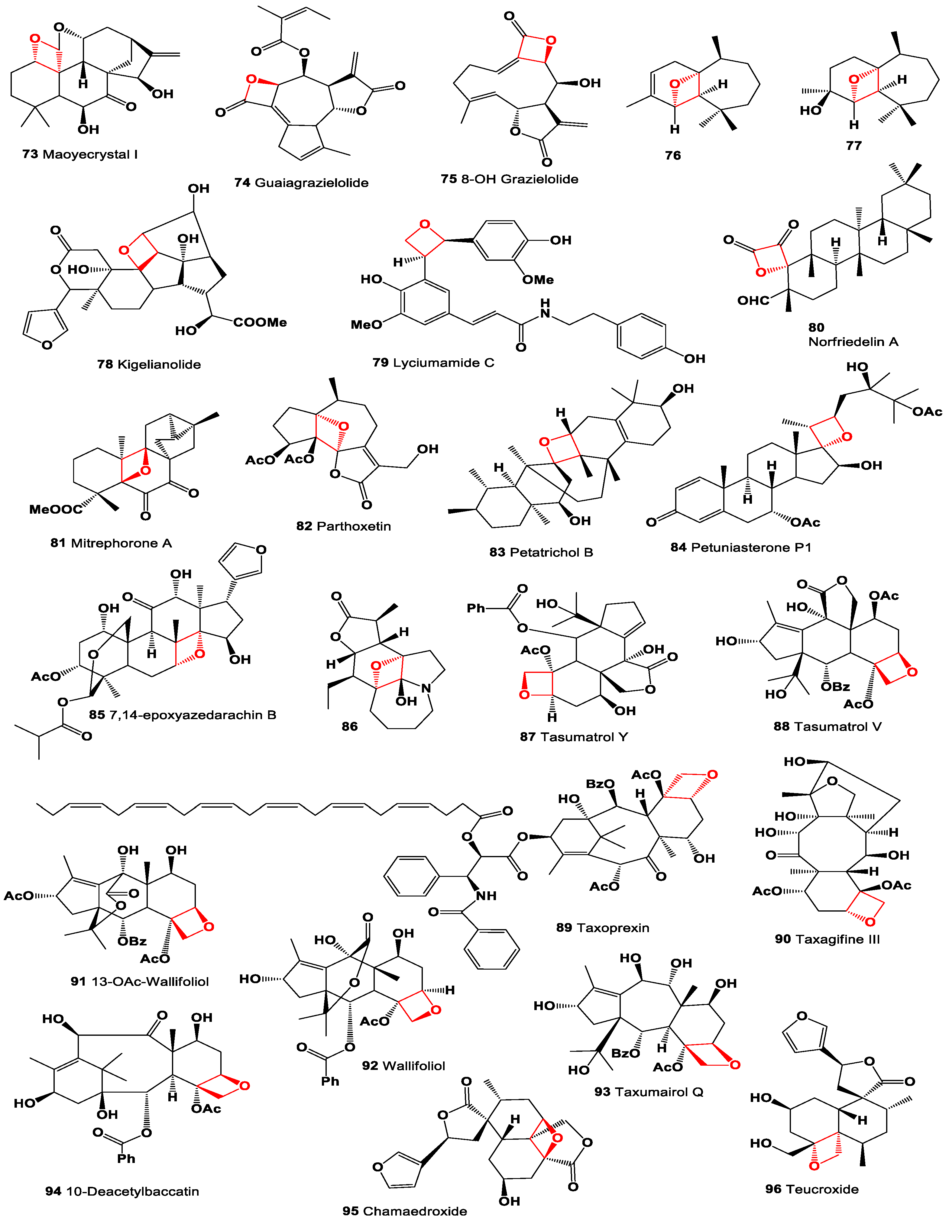 Oxygen 04 00012 g007 Oxygen 04 00012 g007