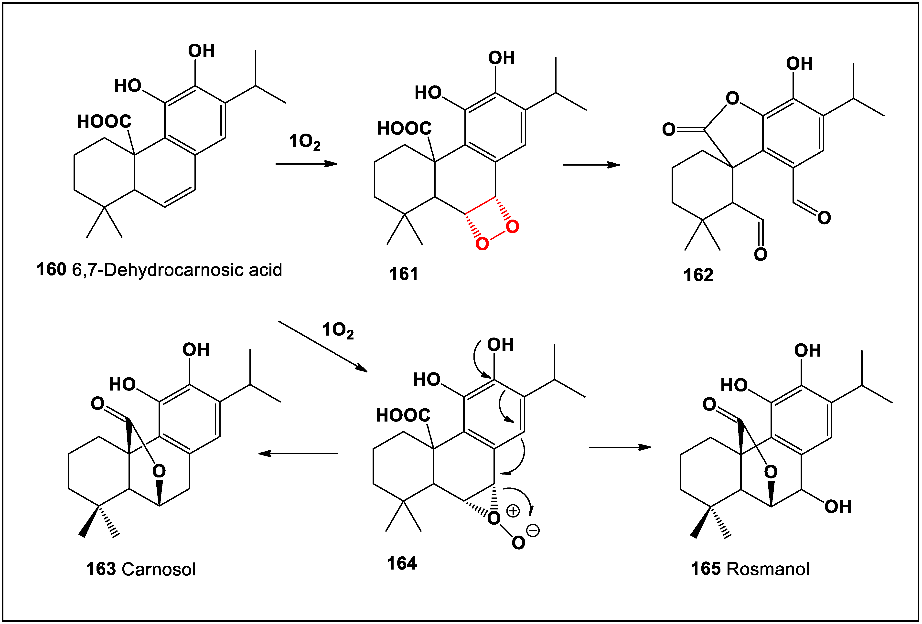Oxygen 04 00012 sch004 Oxygen 04 00012 sch004