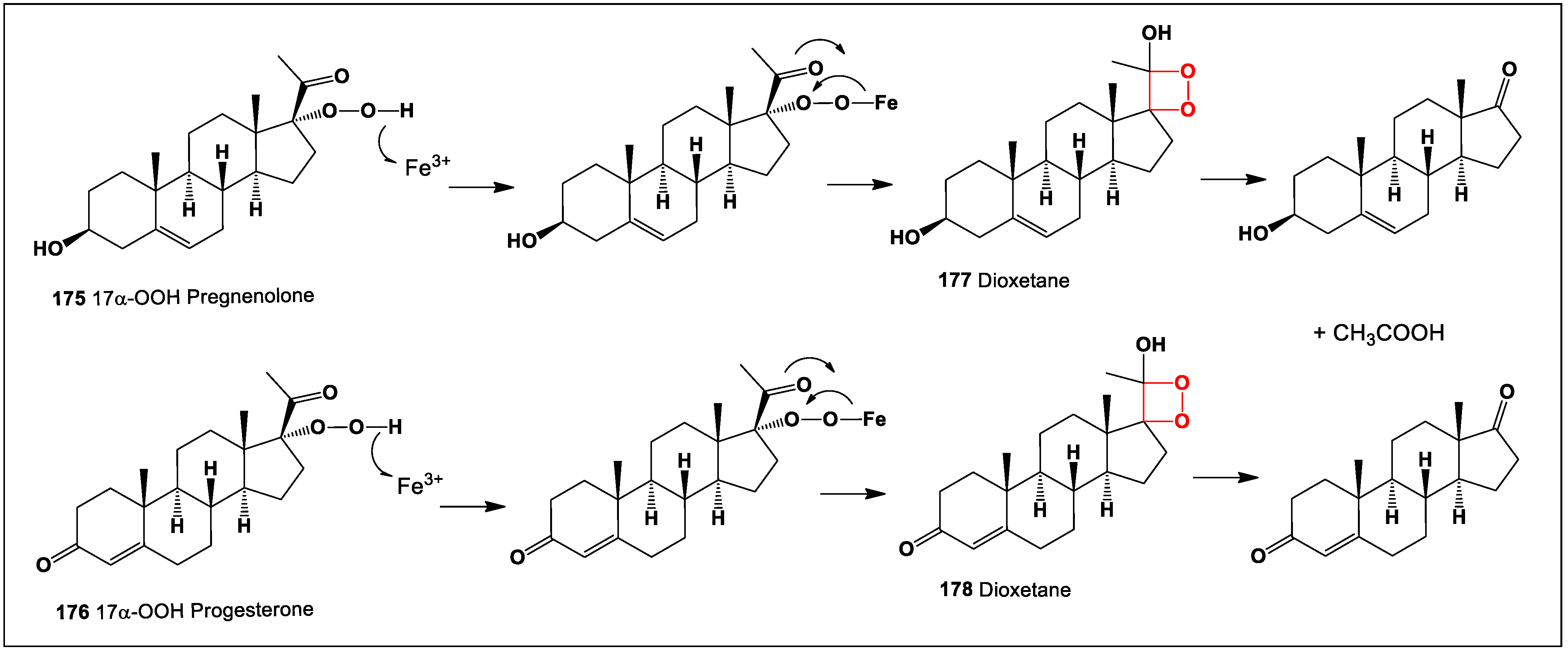 Oxygen 04 00012 sch007 Oxygen 04 00012 sch007