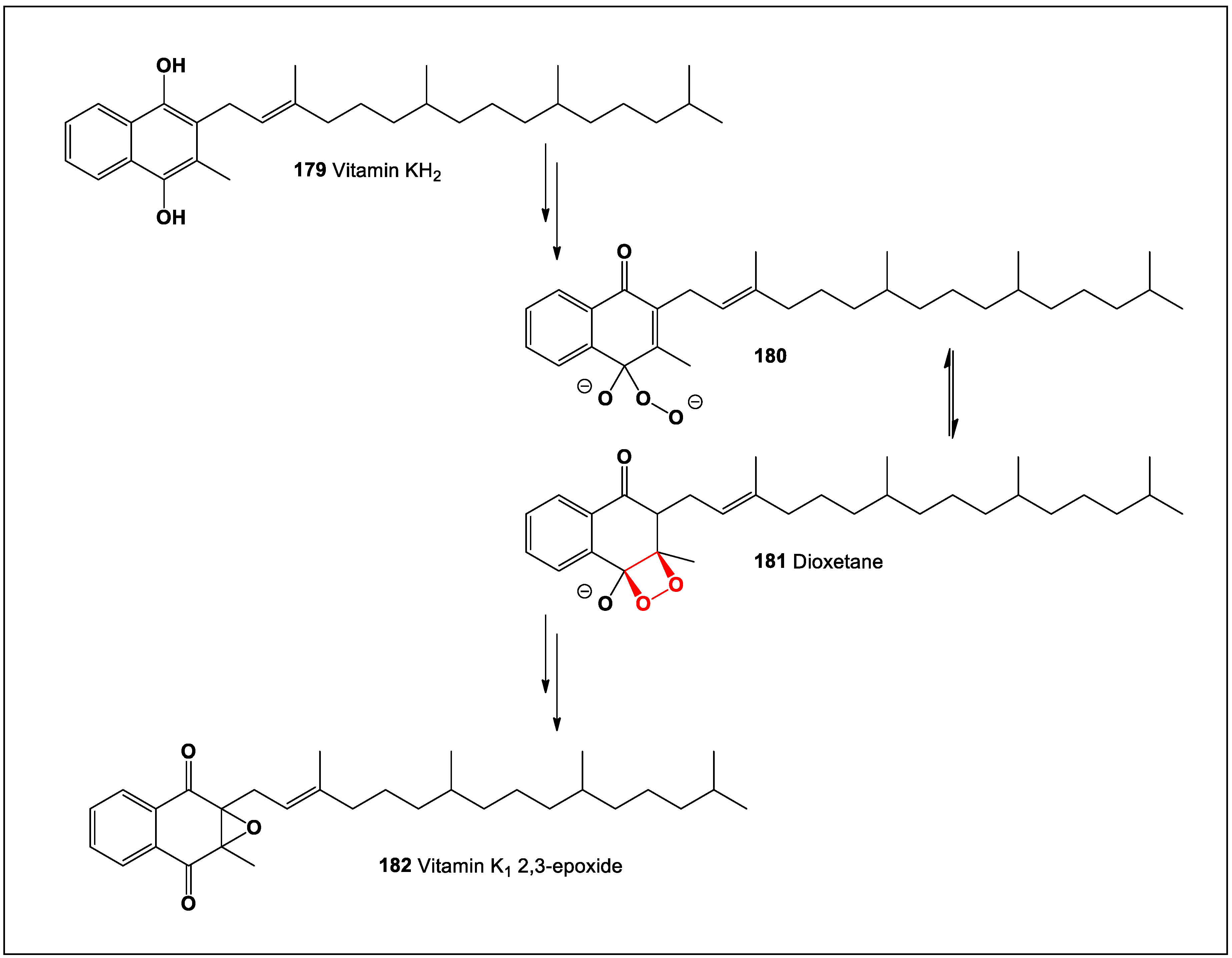 Oxygen 04 00012 sch008 Oxygen 04 00012 sch008