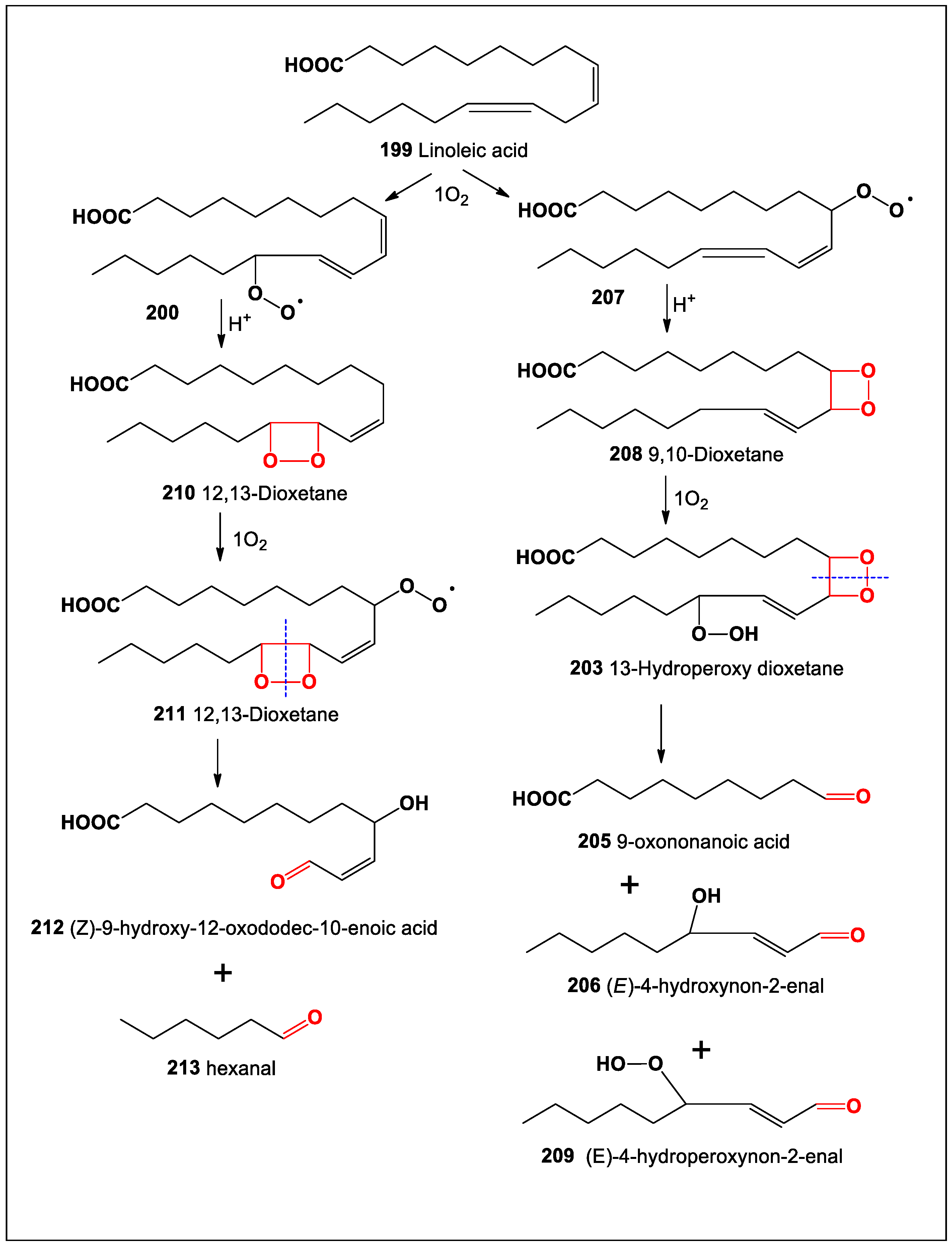 Oxygen 04 00012 sch014 Oxygen 04 00012 sch014