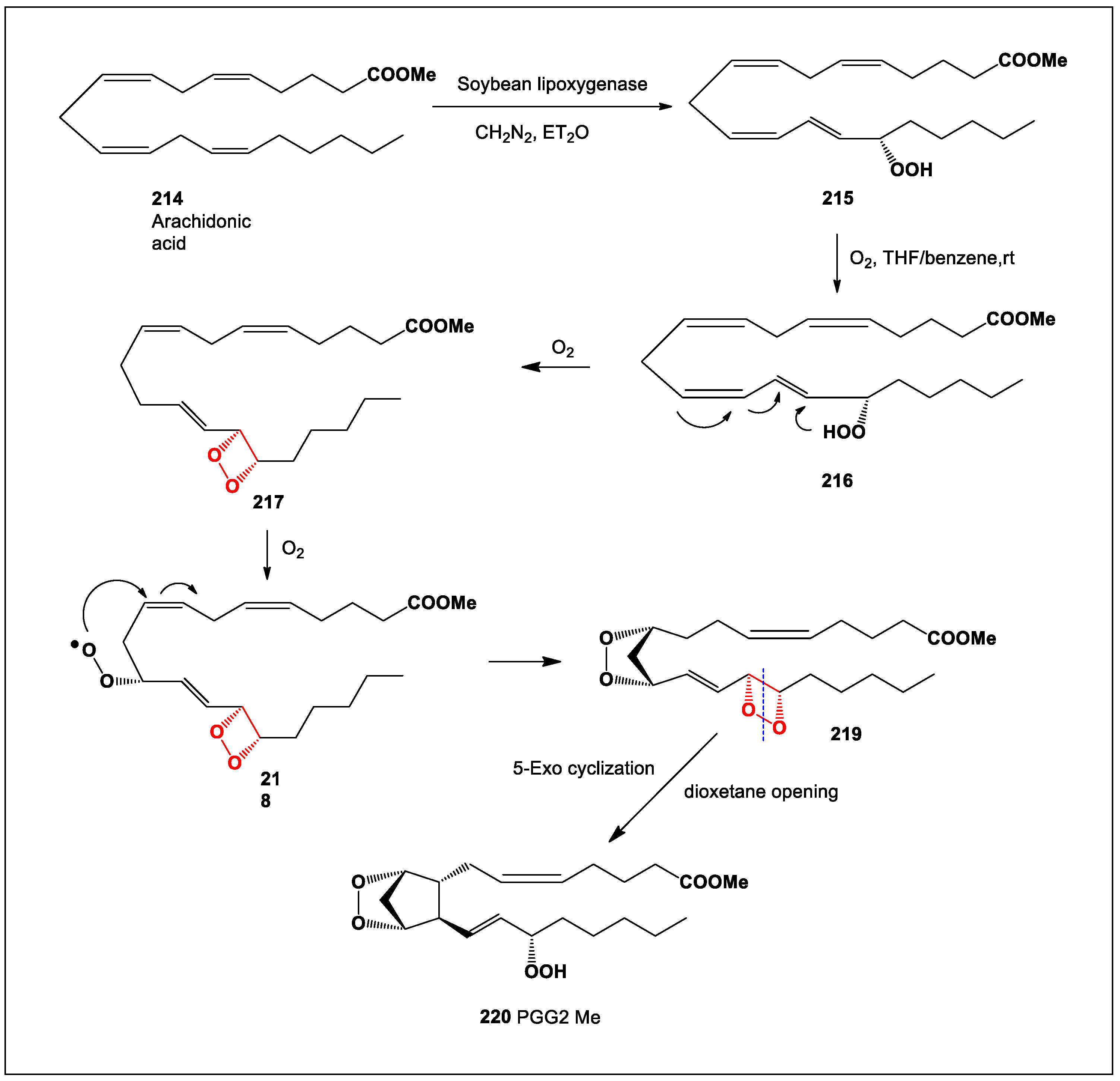 Oxygen 04 00012 sch015 Oxygen 04 00012 sch015