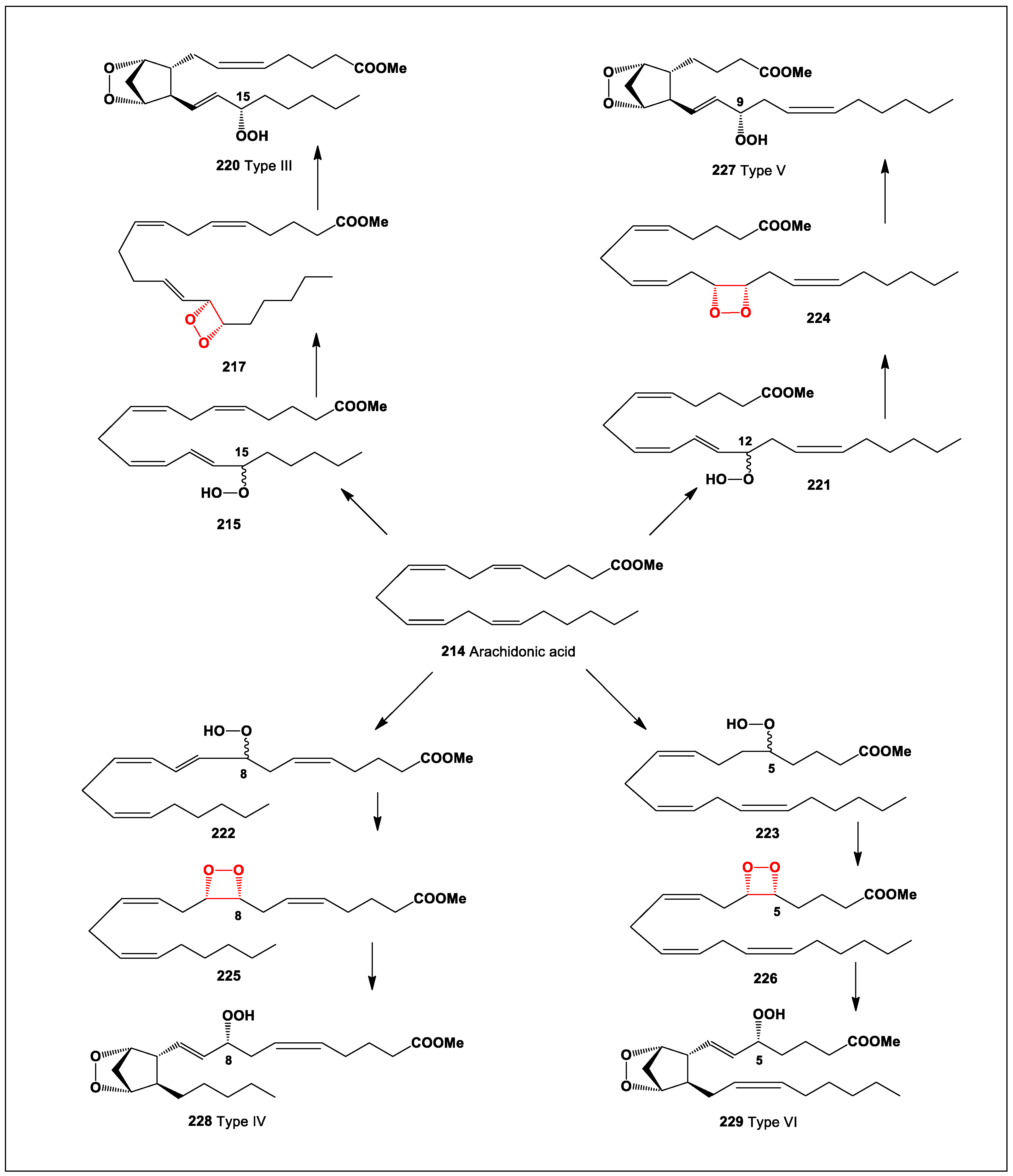 Oxygen 04 00012 sch016 Oxygen 04 00012 sch016