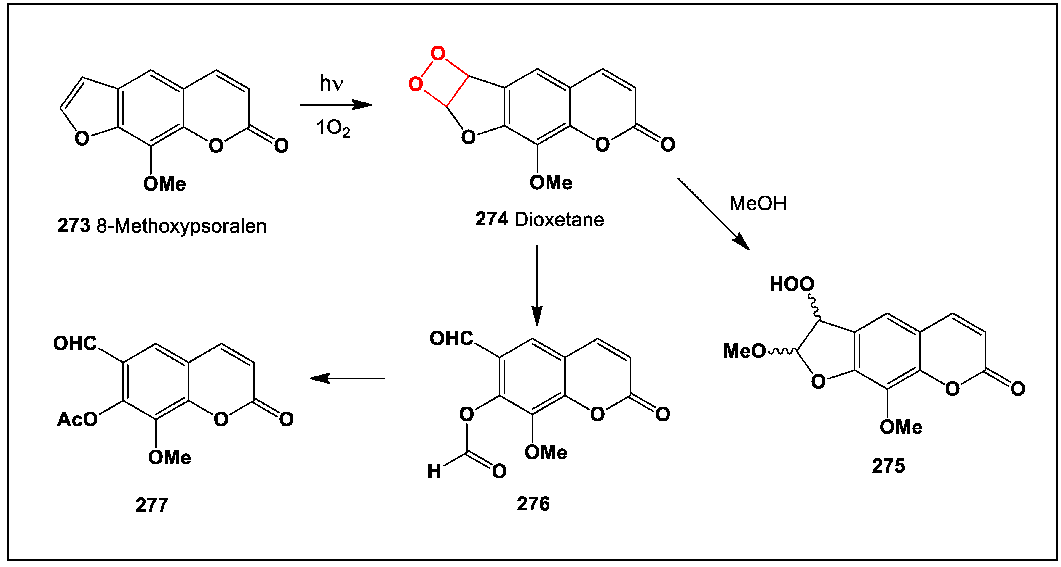 Oxygen 04 00012 sch022 Oxygen 04 00012 sch022