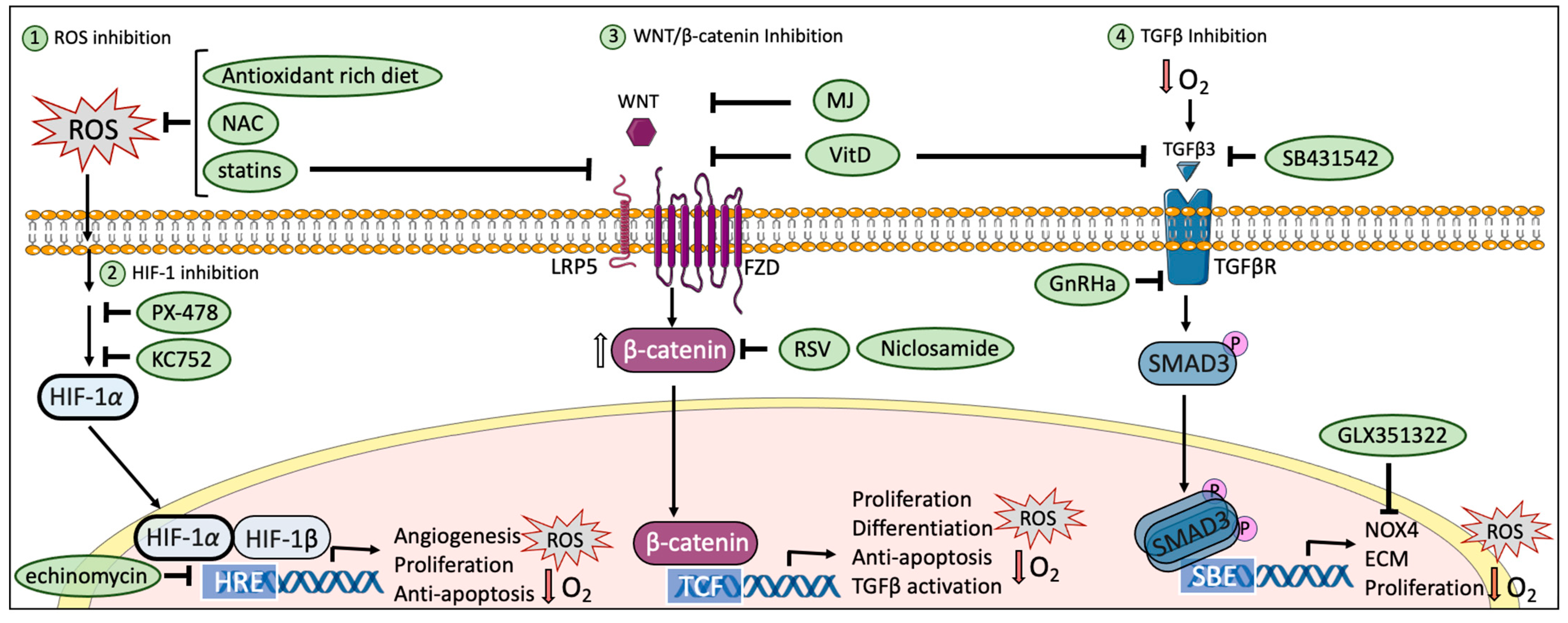 Oxygen 04 00013 g003