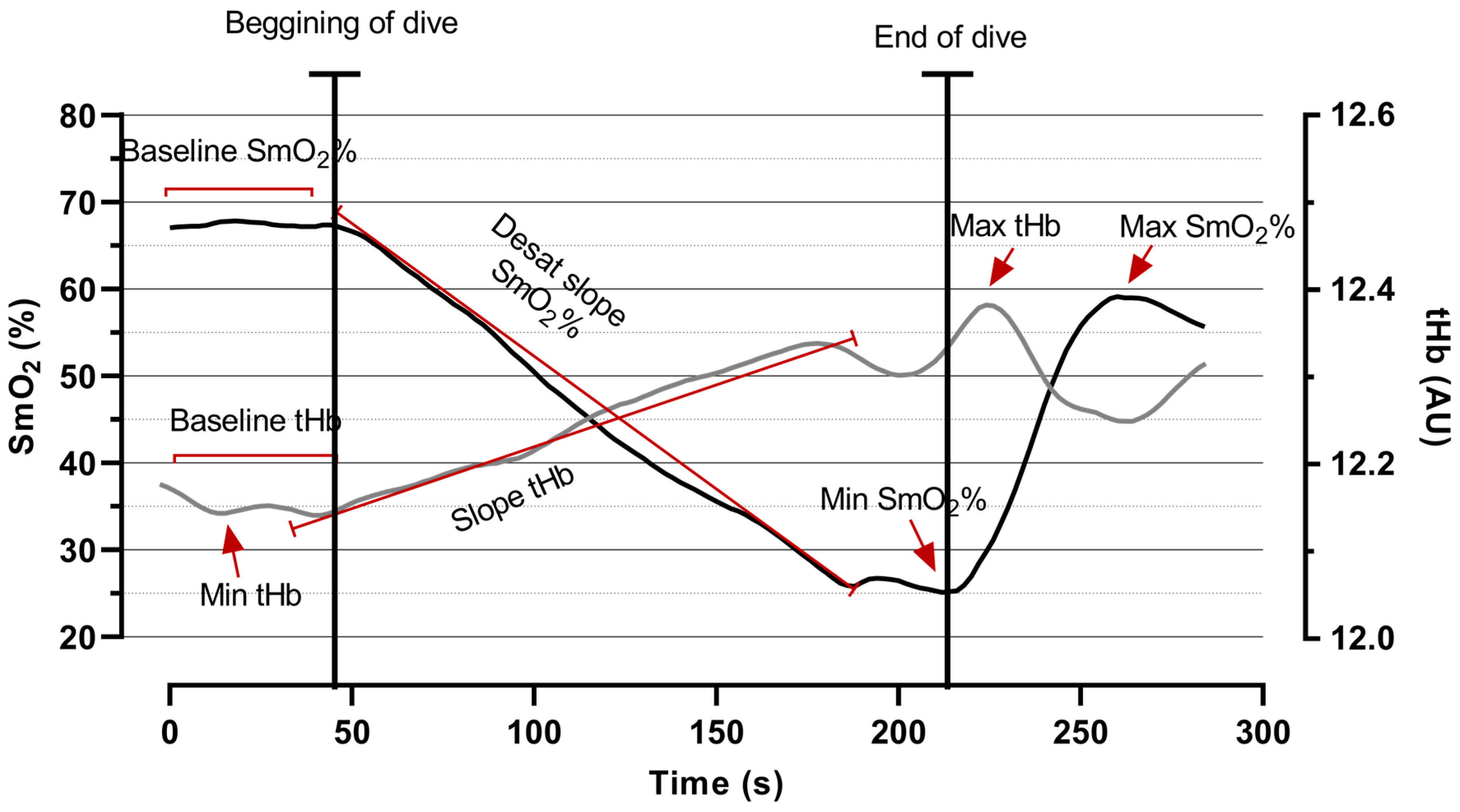 Oxygen 04 00016 g001