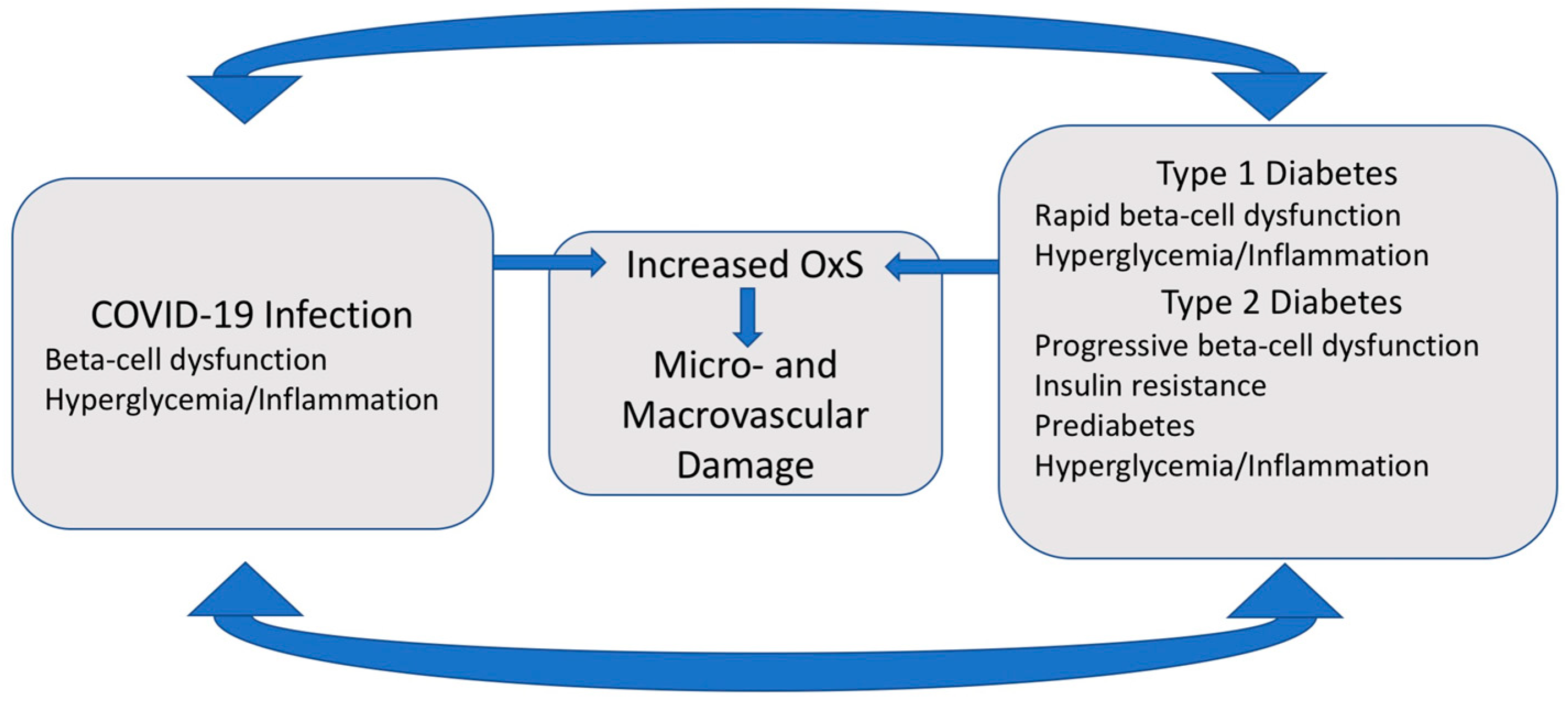 Oxygen 04 00021 g002
