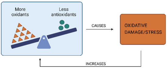 The Role of ROS in Electronic Cigarette- and Heated Tobacco Product-Induced  Damage