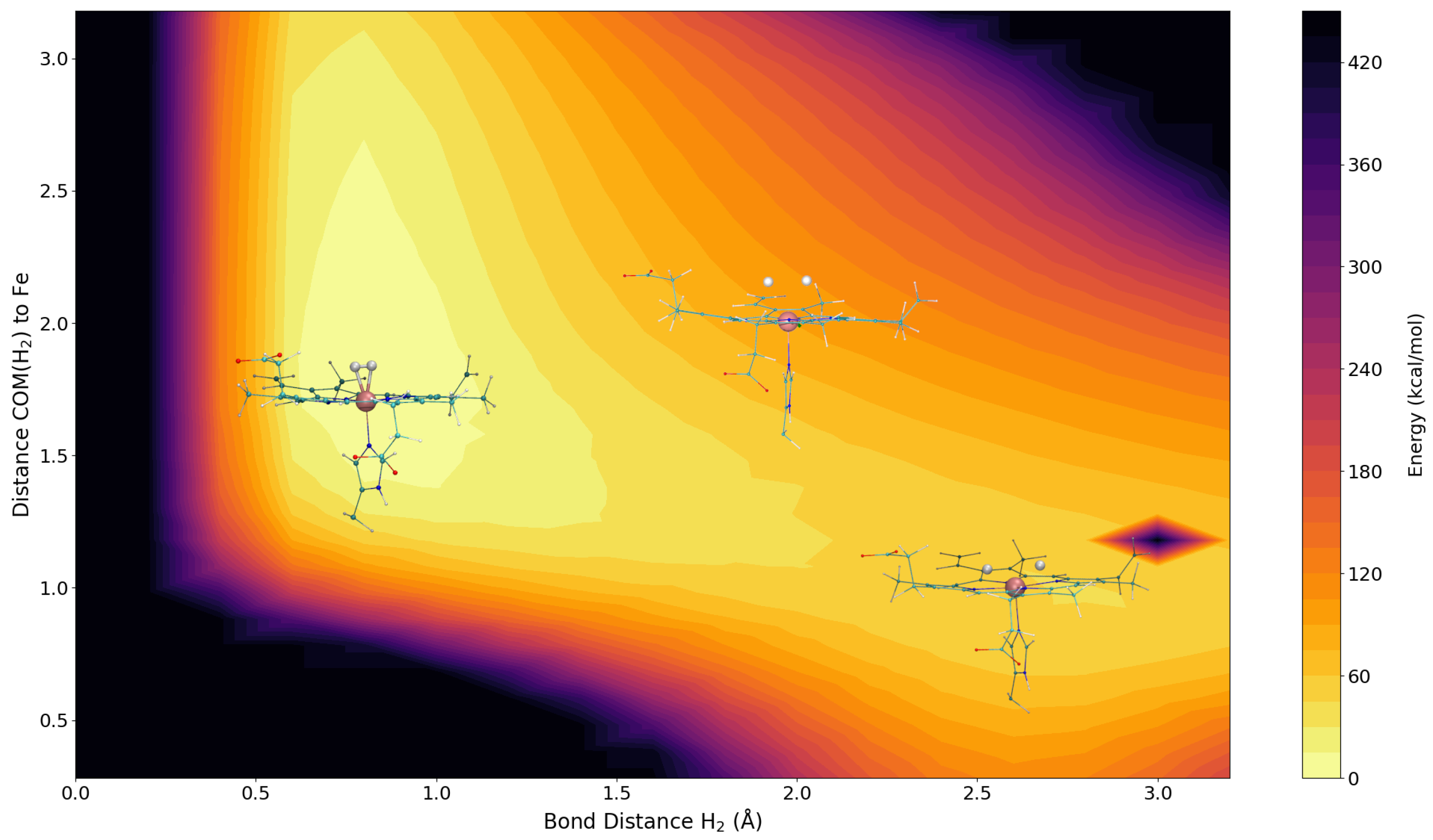 Diffusion and Spectroscopy of H2 in Myoglobin