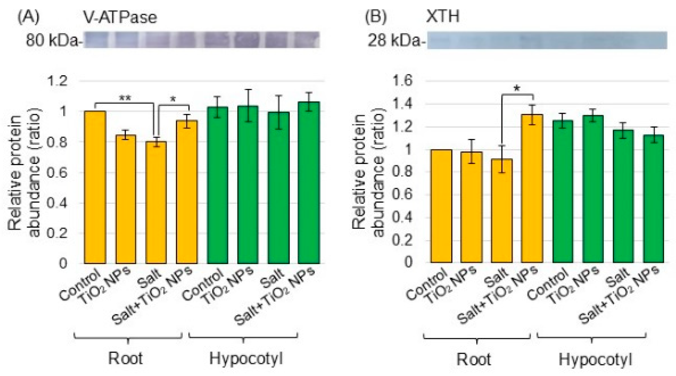 Oxygen 05 00004 g004