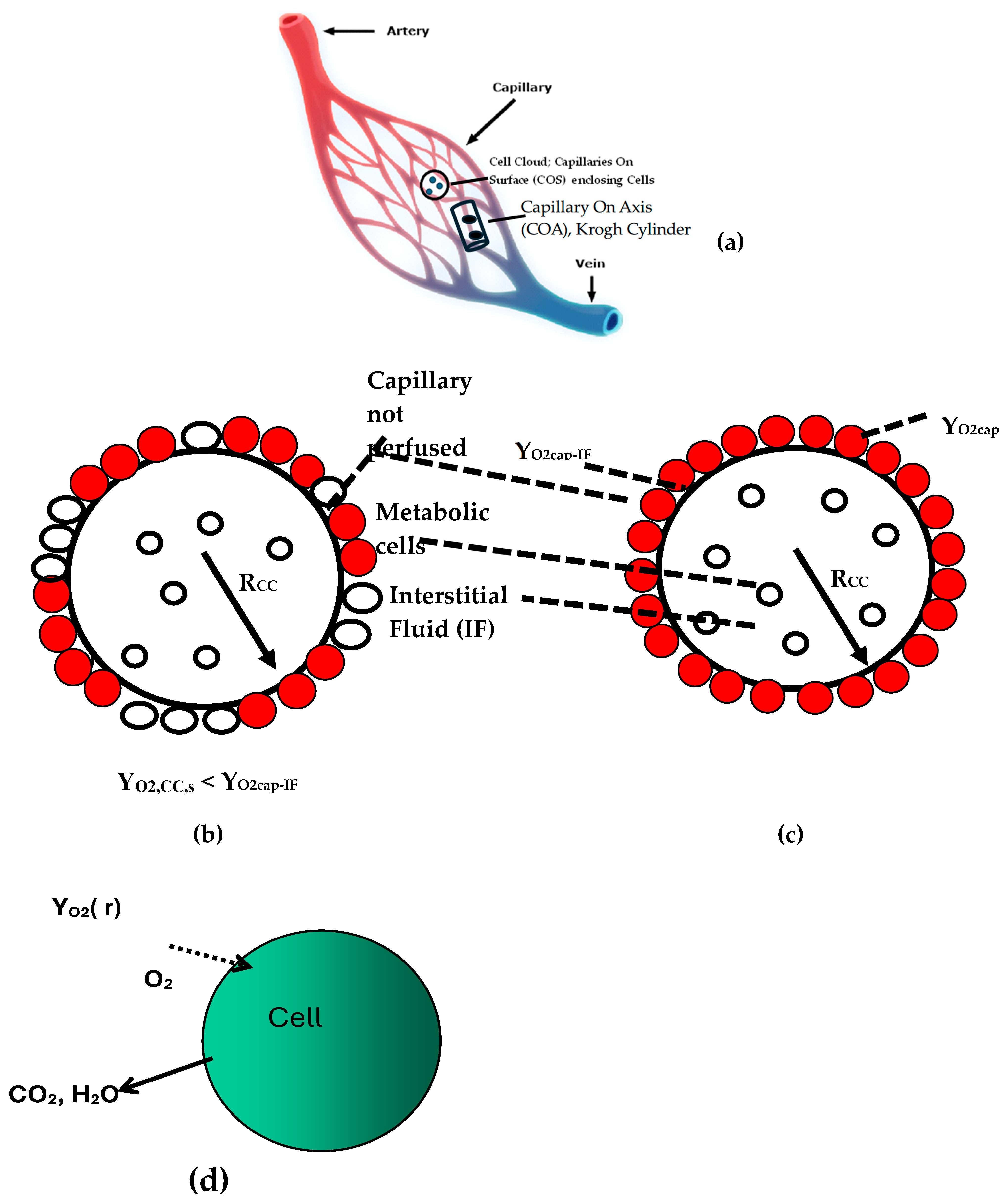 Oxygen 05 00006 g002 Oxygen 05 00006 g002