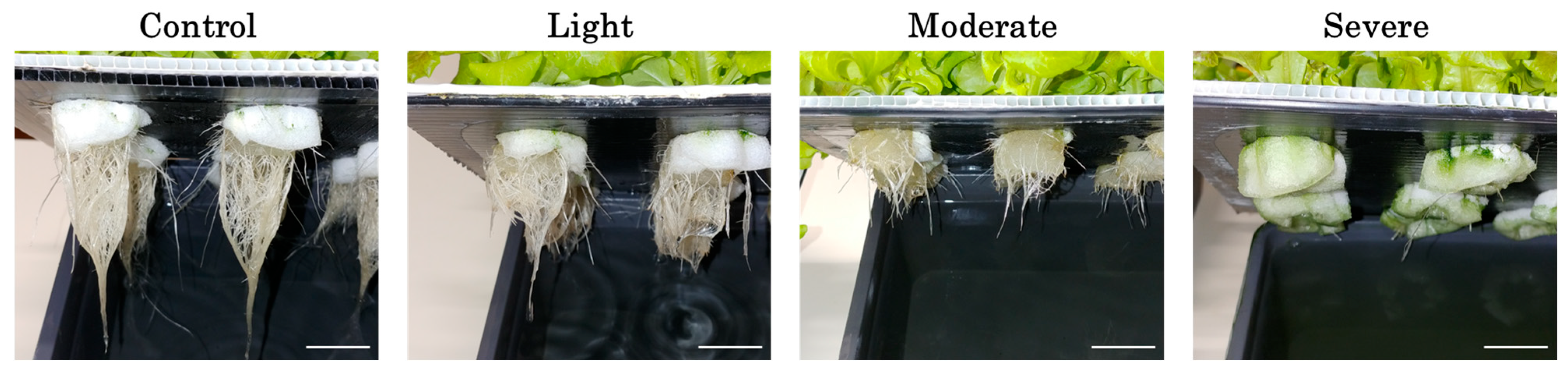 Oxygen 05 00024 g001 Oxygen 05 00024 g001