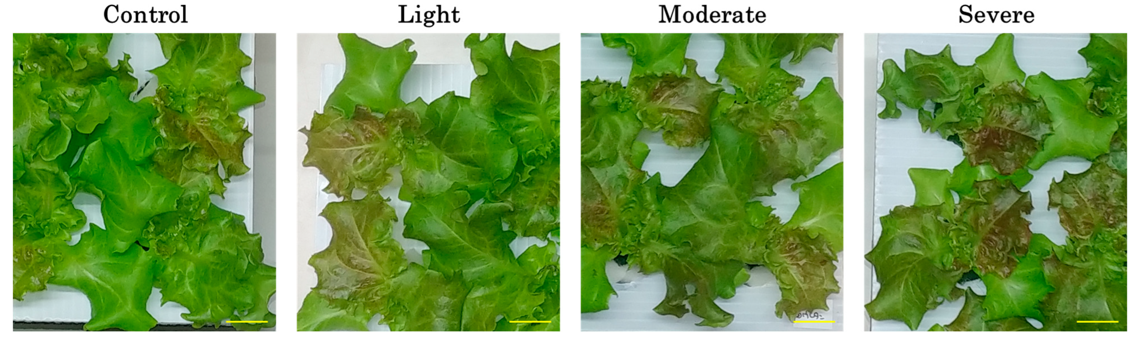 Oxygen 05 00024 g003 Oxygen 05 00024 g003