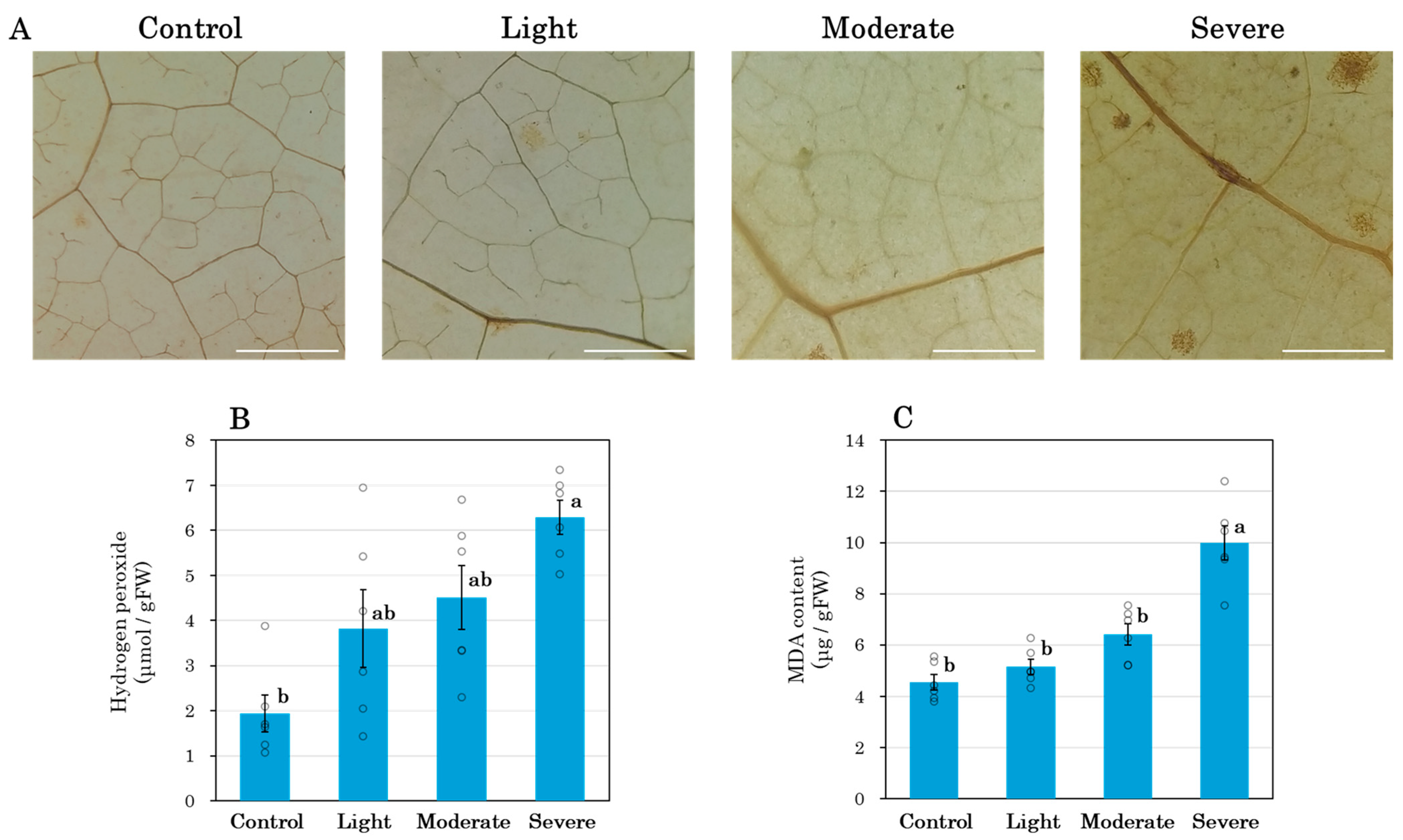 Oxygen 05 00024 g007 Oxygen 05 00024 g007
