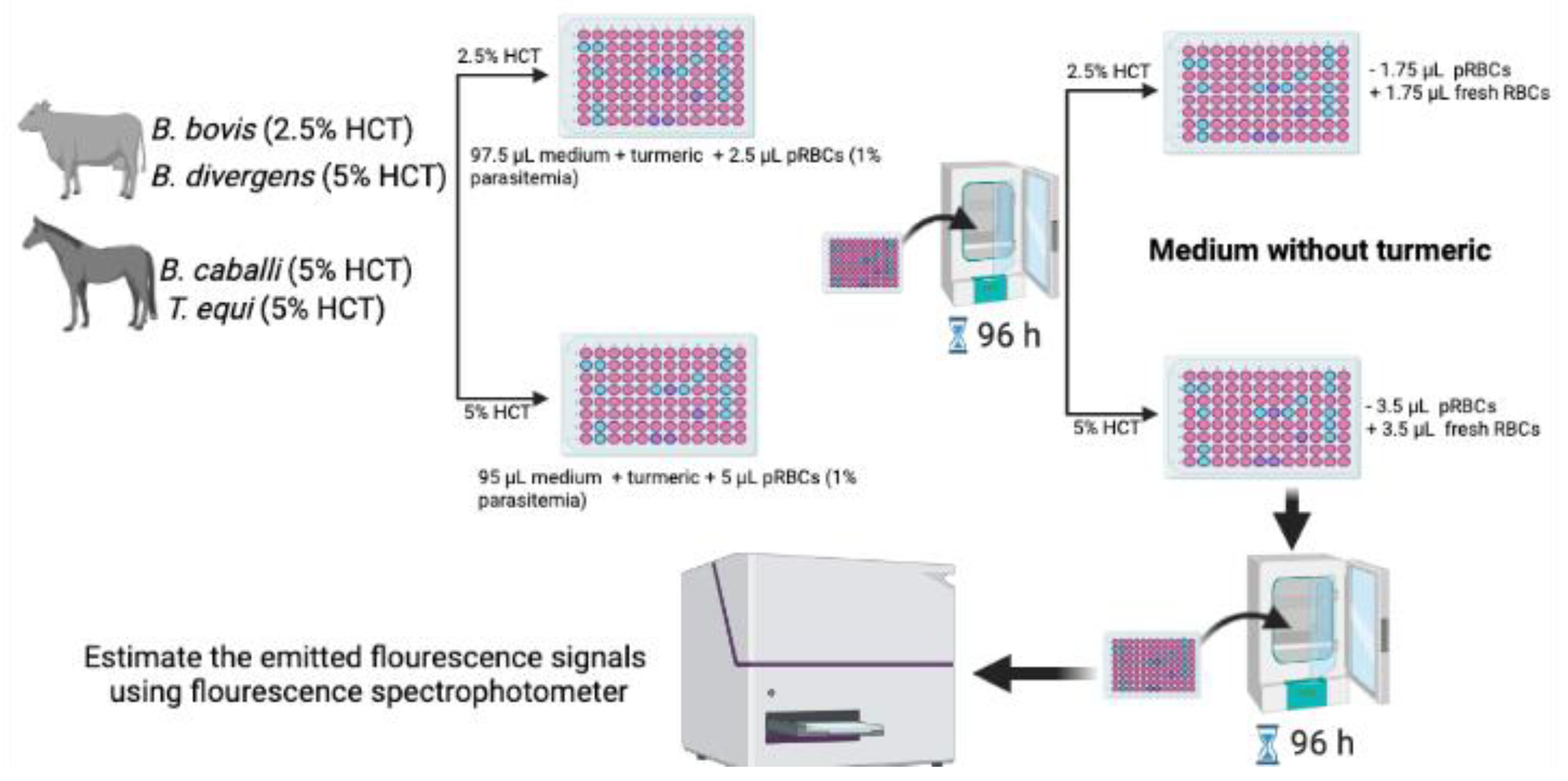 Parasitologia 01 00020 g004 Parasitologia 01 00020 g004