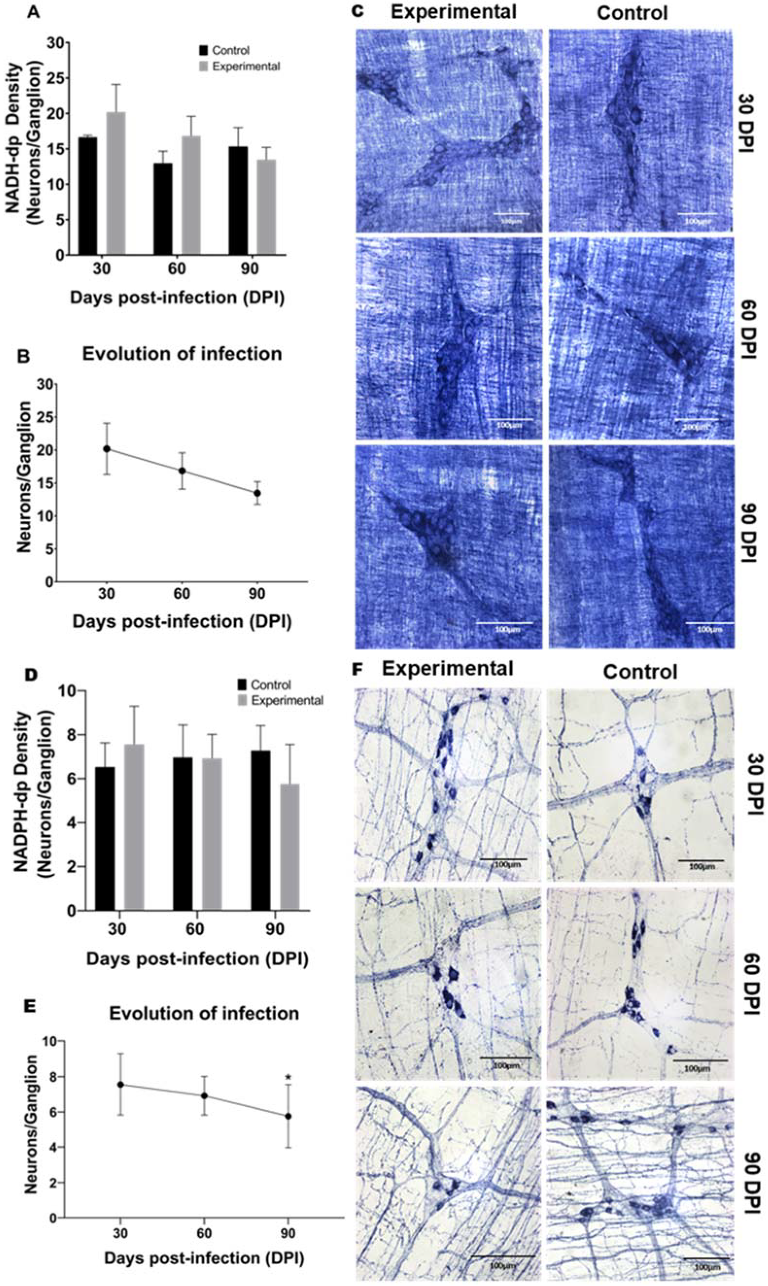 Parasitologia 01 00024 g002 Parasitologia 01 00024 g002