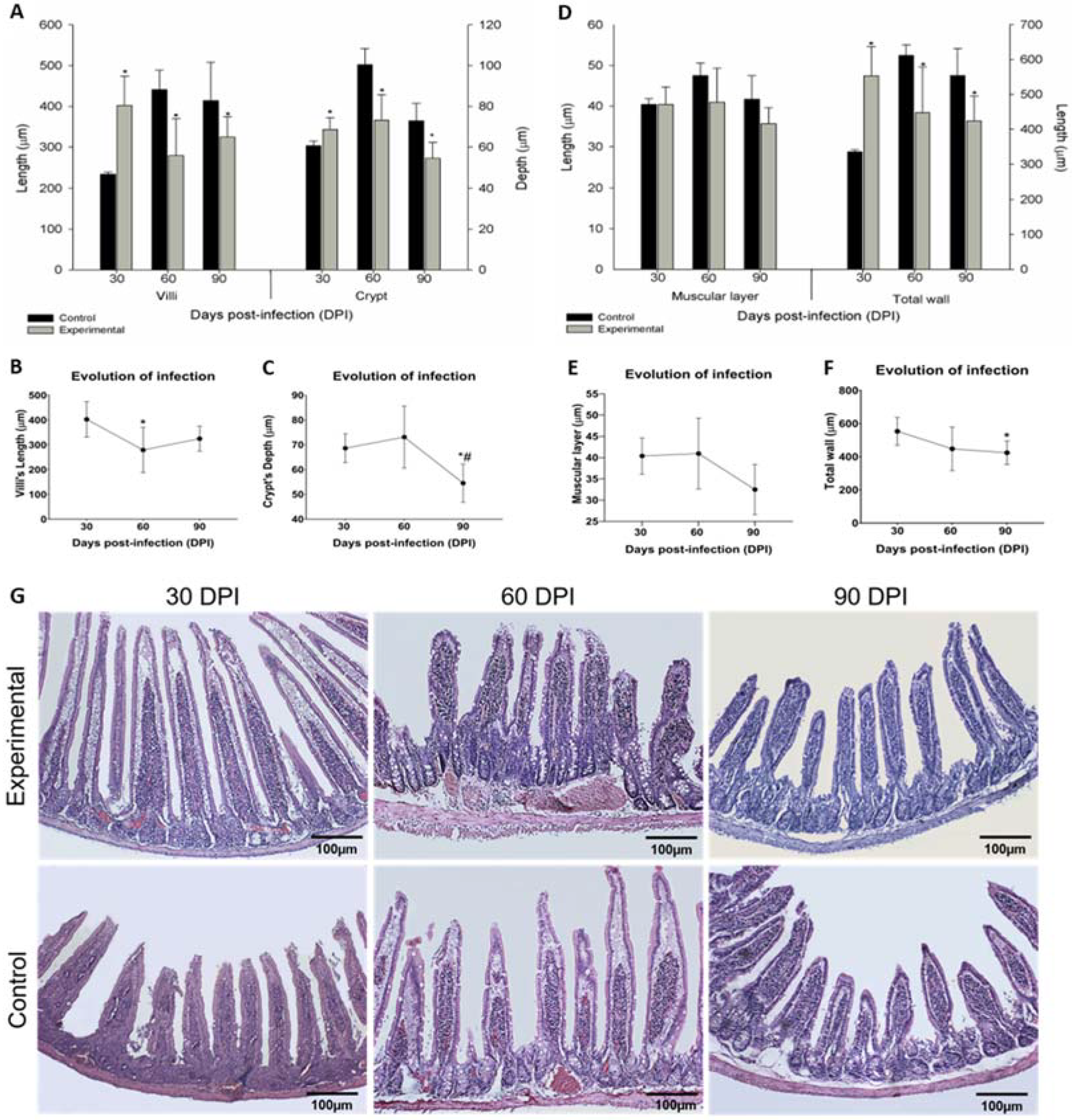 Parasitologia 01 00024 g004 Parasitologia 01 00024 g004