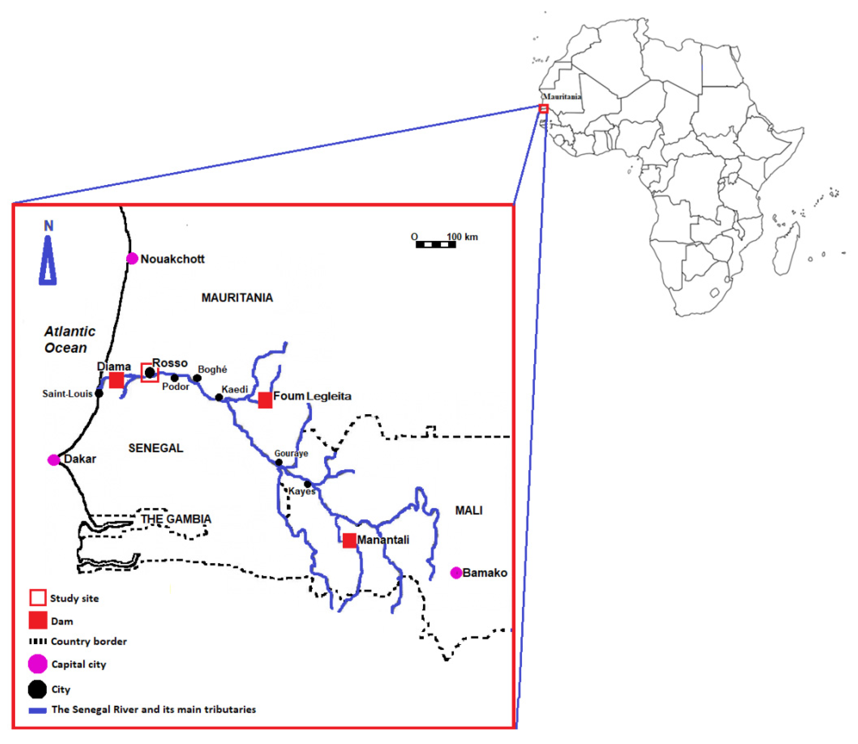 Parasitologia 01 00027 g002