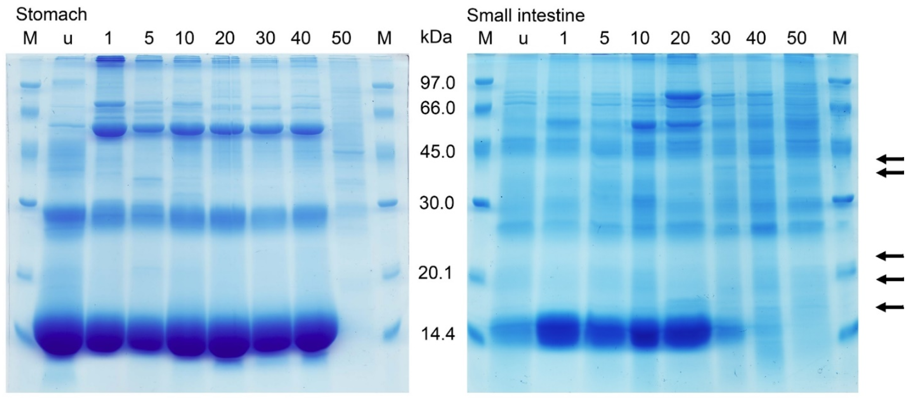 Parasitologia 02 00002 g005 550