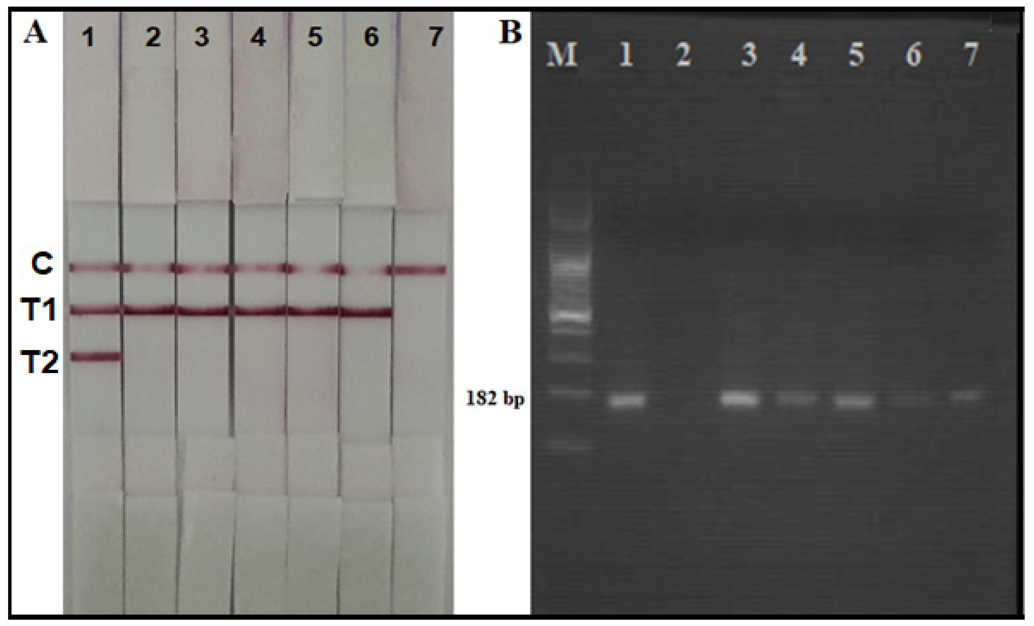 Parasitologia 02 00003 g002 Parasitologia 02 00003 g002