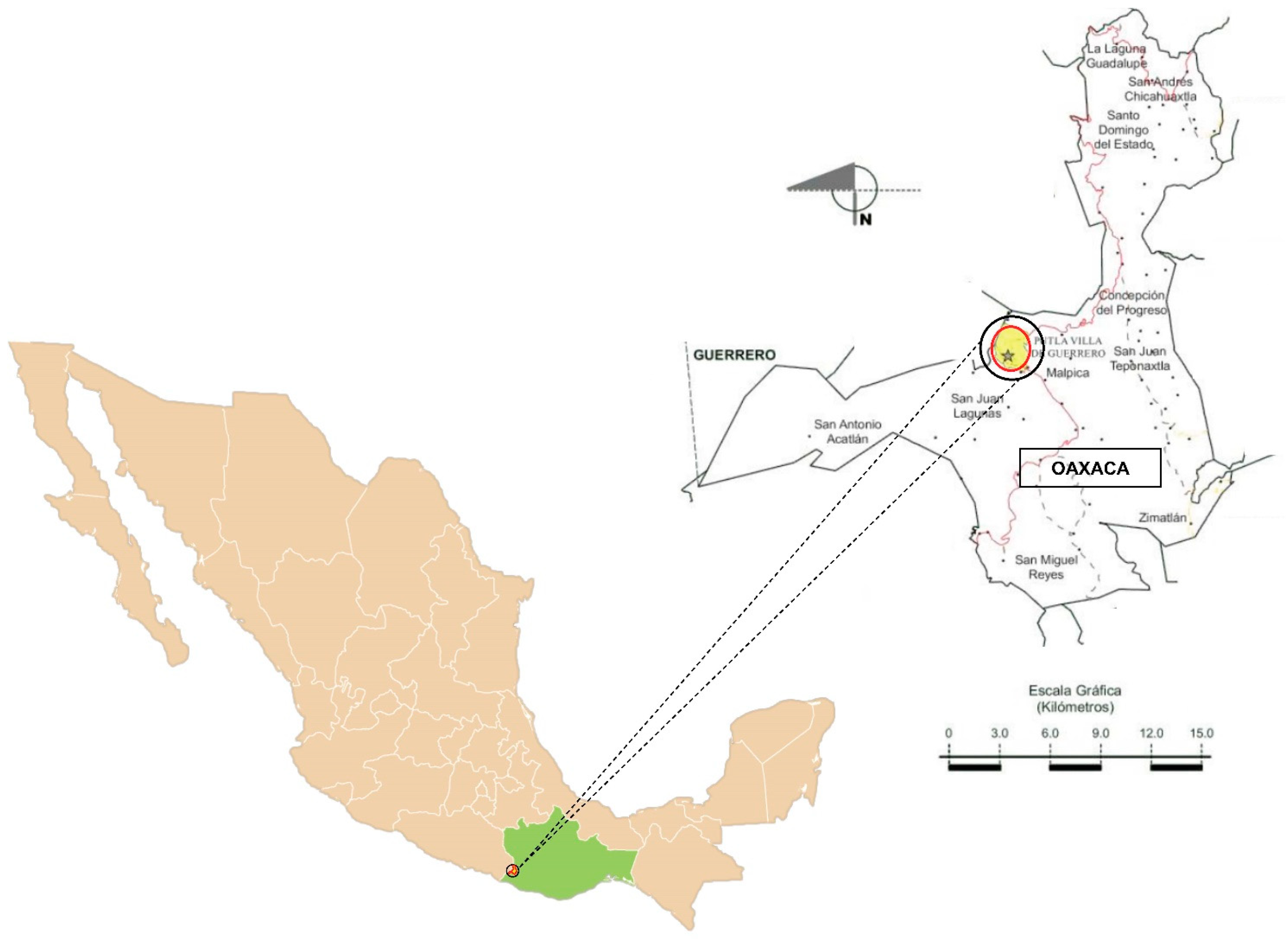 Parasitologia 02 00021 g002 Parasitologia 02 00021 g002