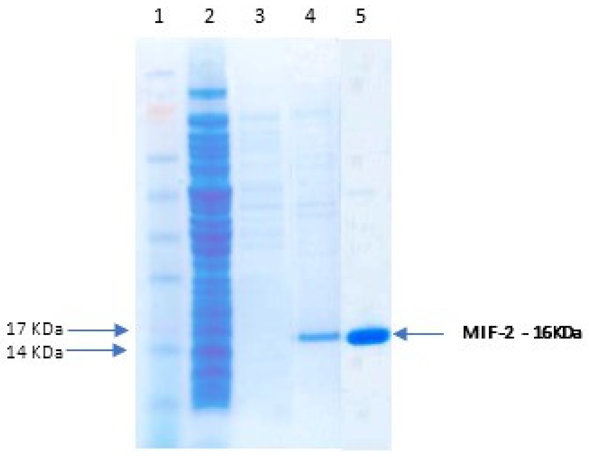 Parasitologia 02 00028 g004 Parasitologia 02 00028 g004