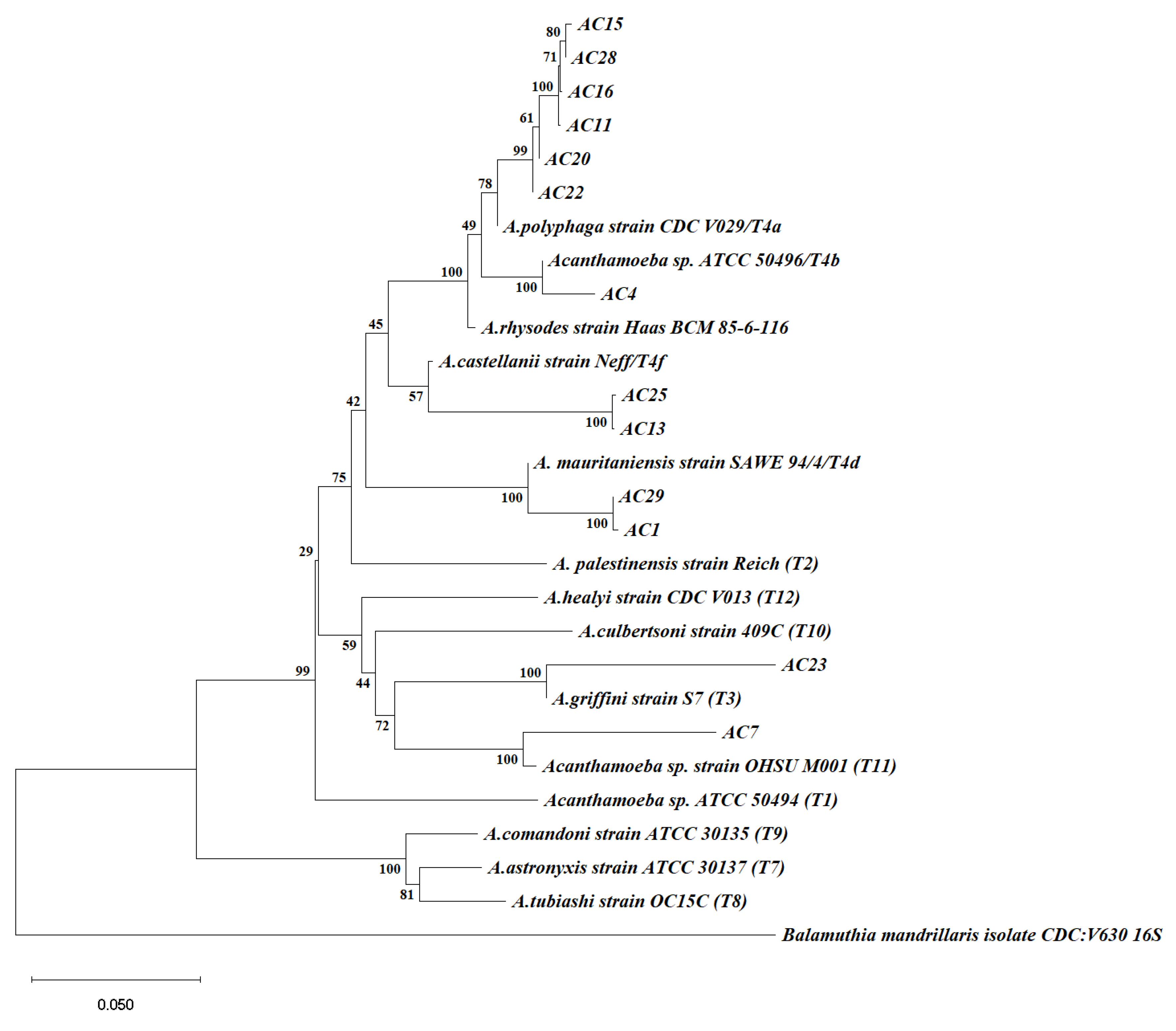 Parasitologia 03 00009 g002 Parasitologia 03 00009 g002