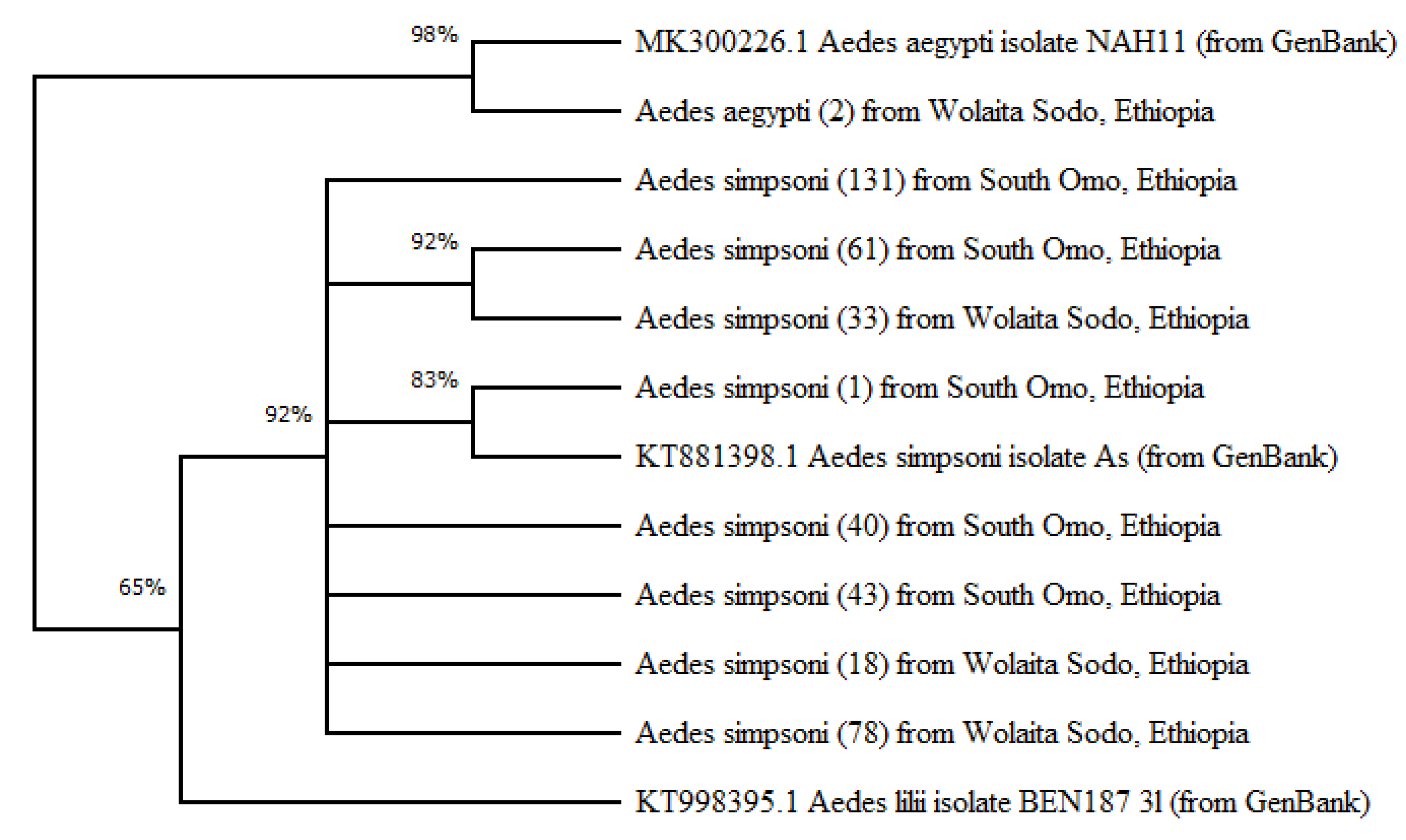 Parasitologia 03 00011 g005 Parasitologia 03 00011 g005