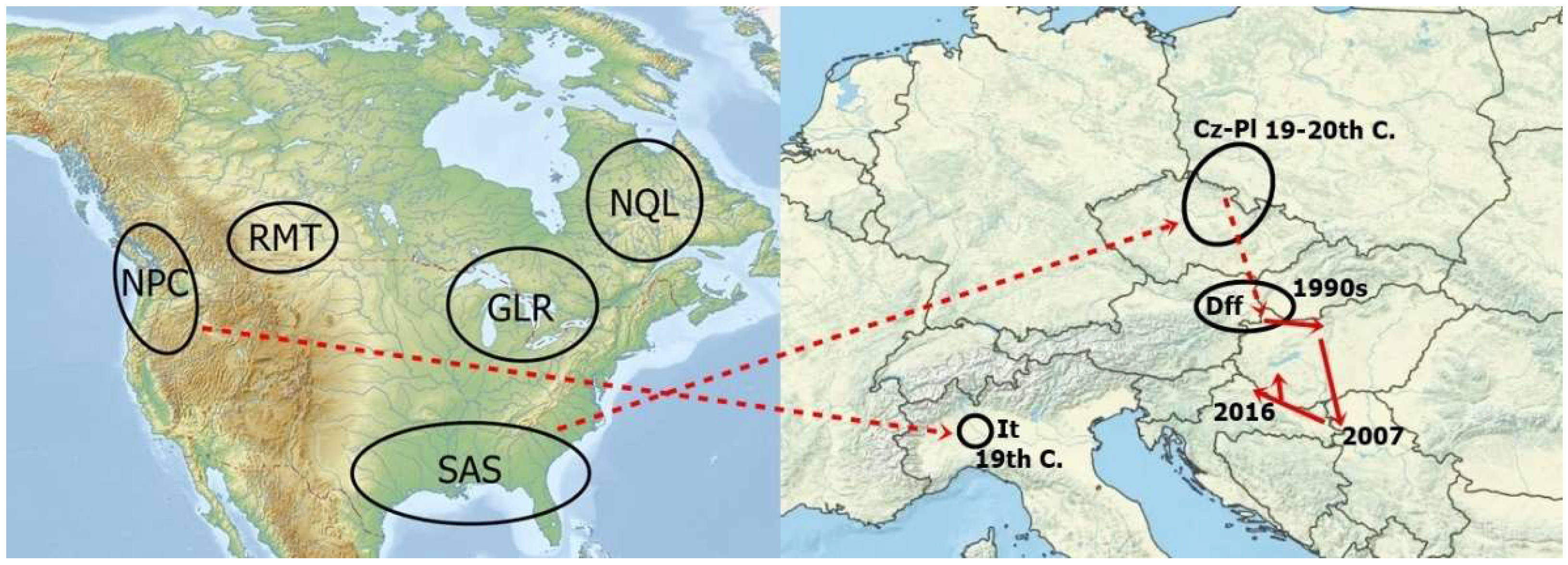 Parasitologia 03 00031 g004 Parasitologia 03 00031 g004