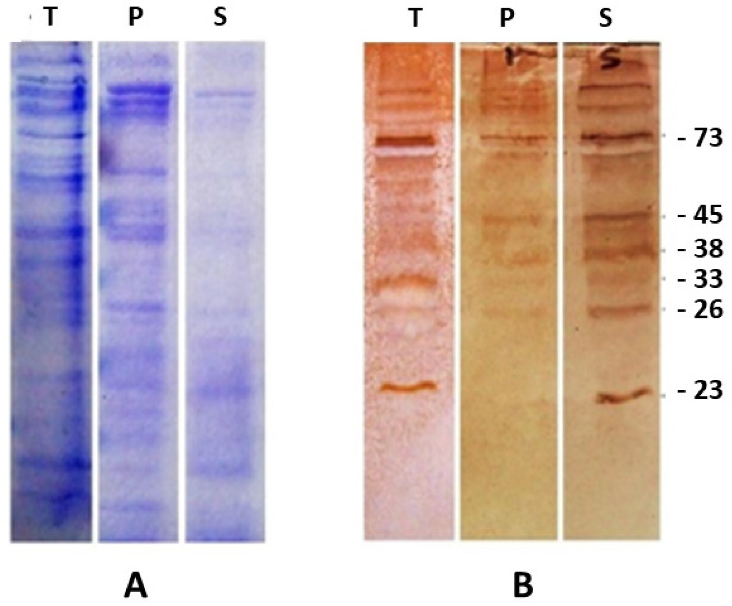 Parasitologia 03 00034 g001