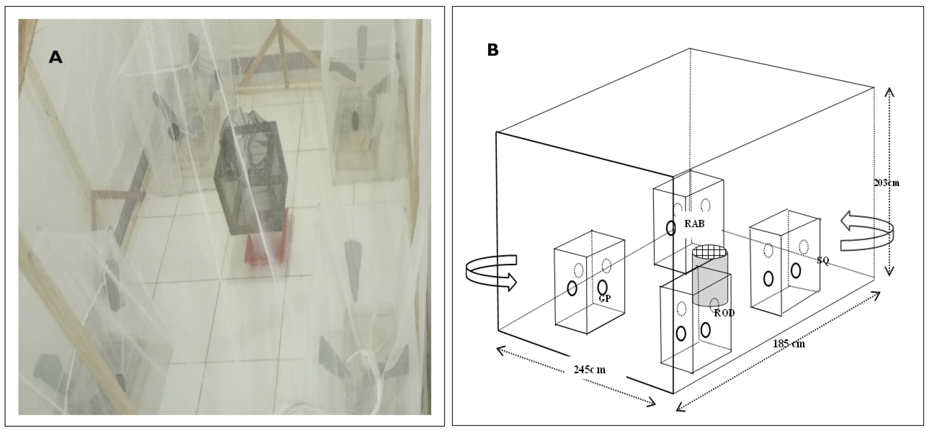 Parasitologia 04 00003 g001 Parasitologia 04 00003 g001