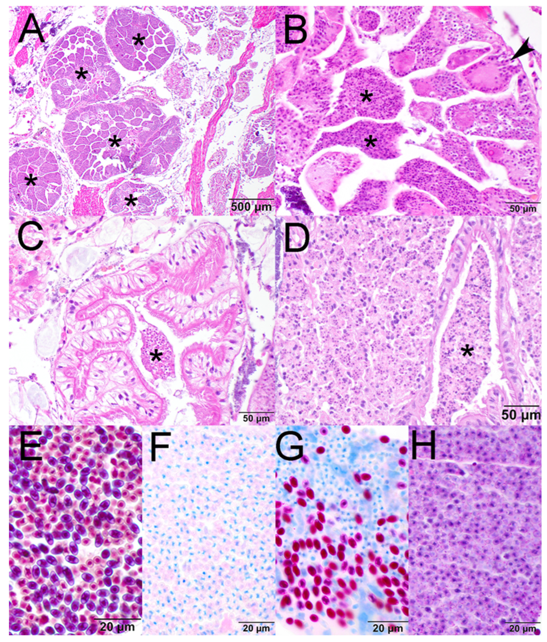 Parasitologia 04 00016 g001