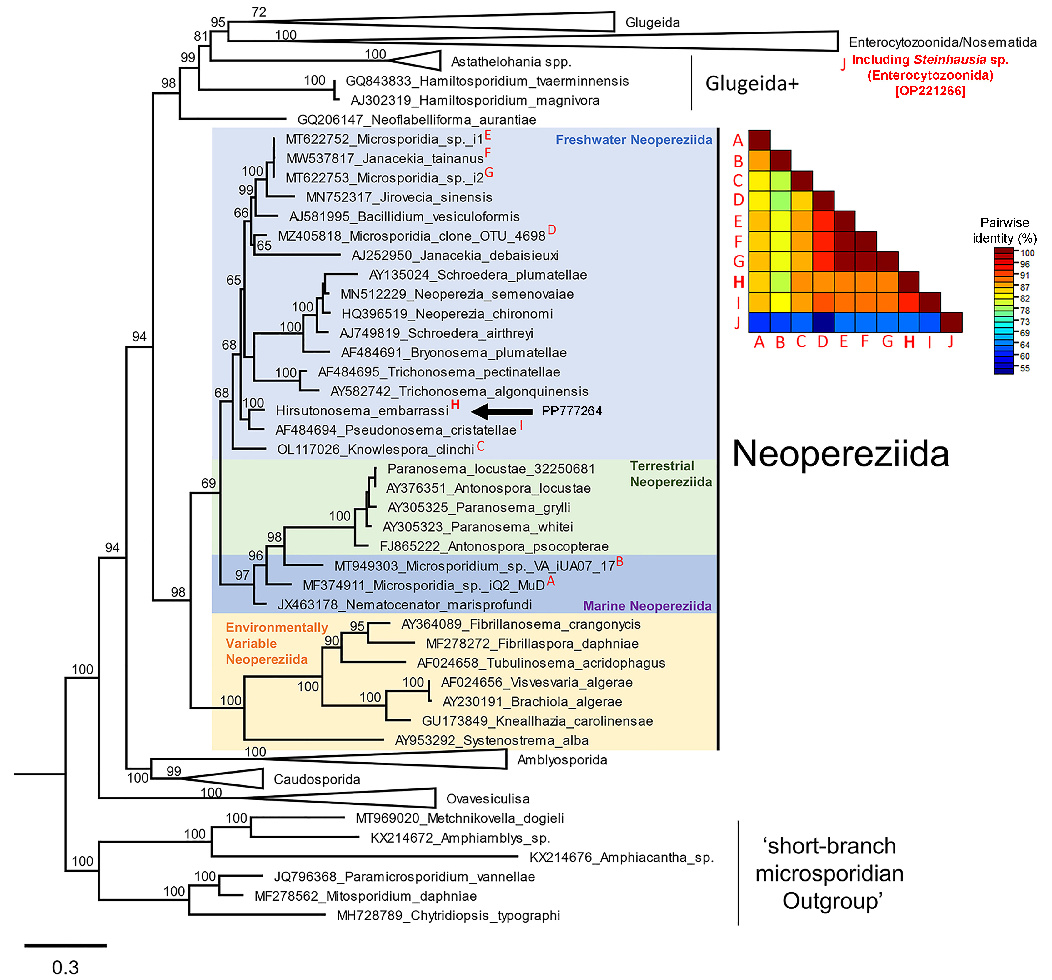 Parasitologia 04 00016 g003