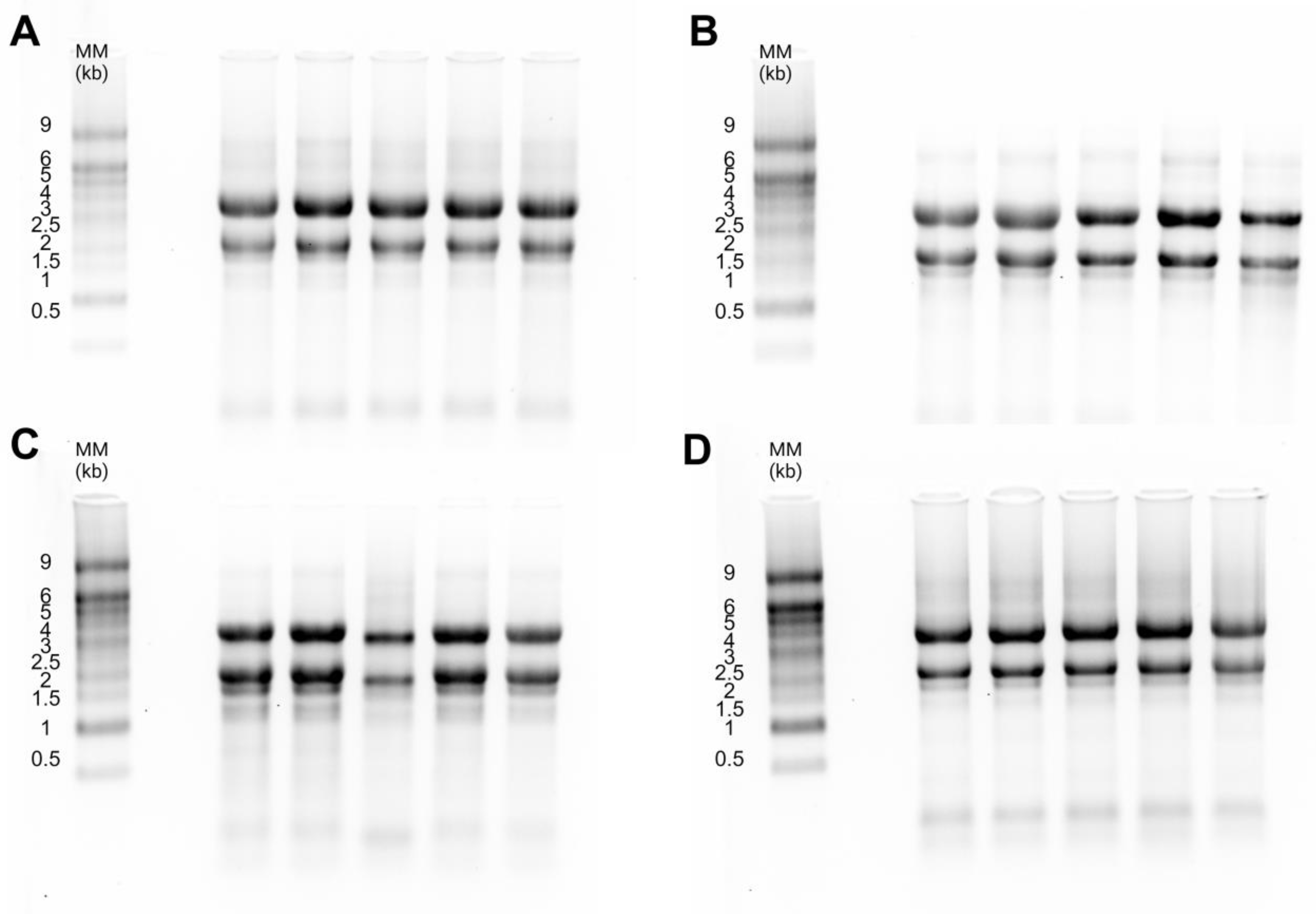 Parasitologia 04 00017 g001