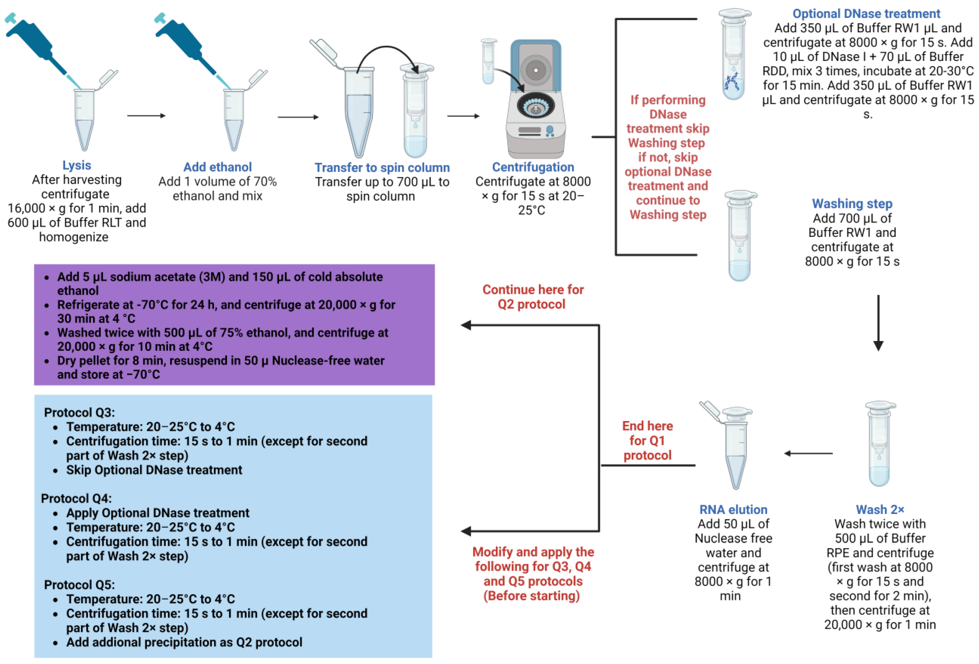 Parasitologia 04 00017 g003
