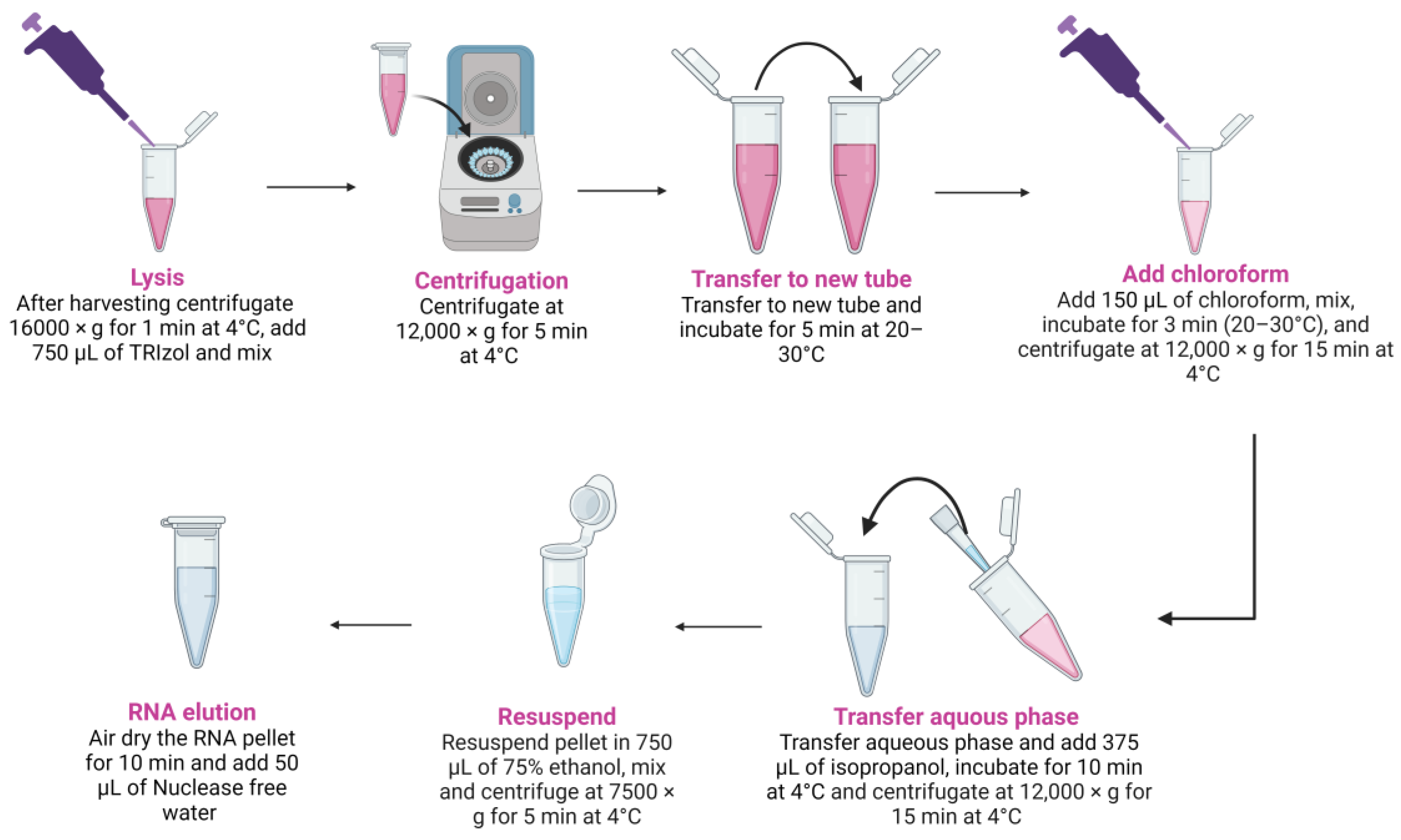 Parasitologia 04 00017 g004
