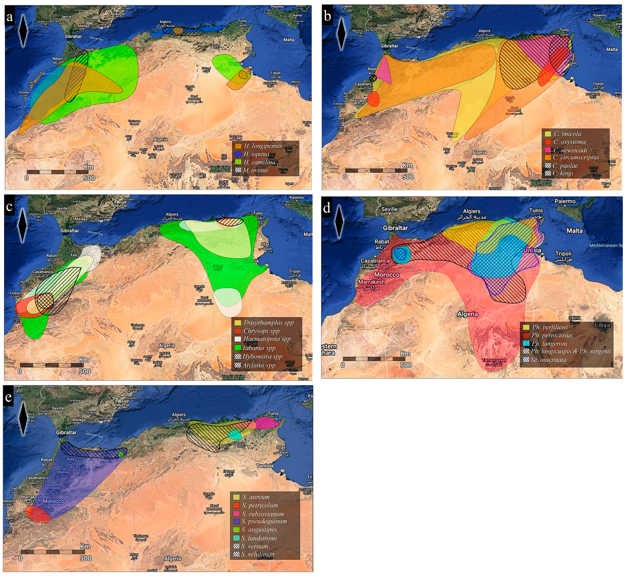 Parasitologia 05 00001 g002