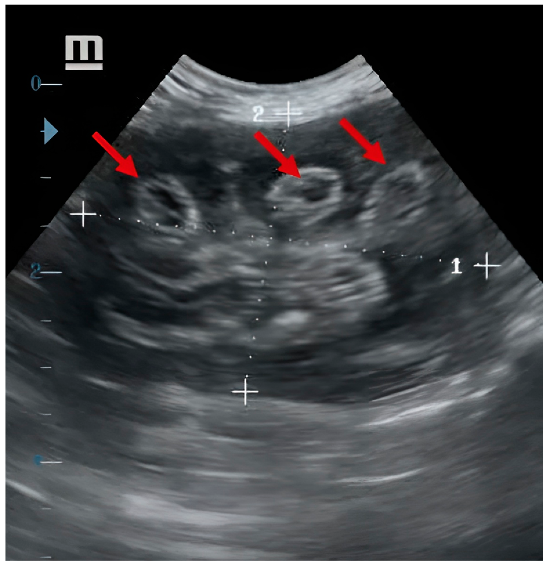 Parasitologia 05 00004 g002