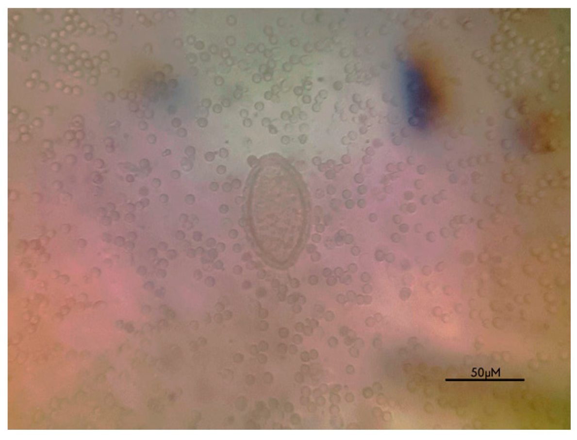 Parasitologia 05 00004 g003