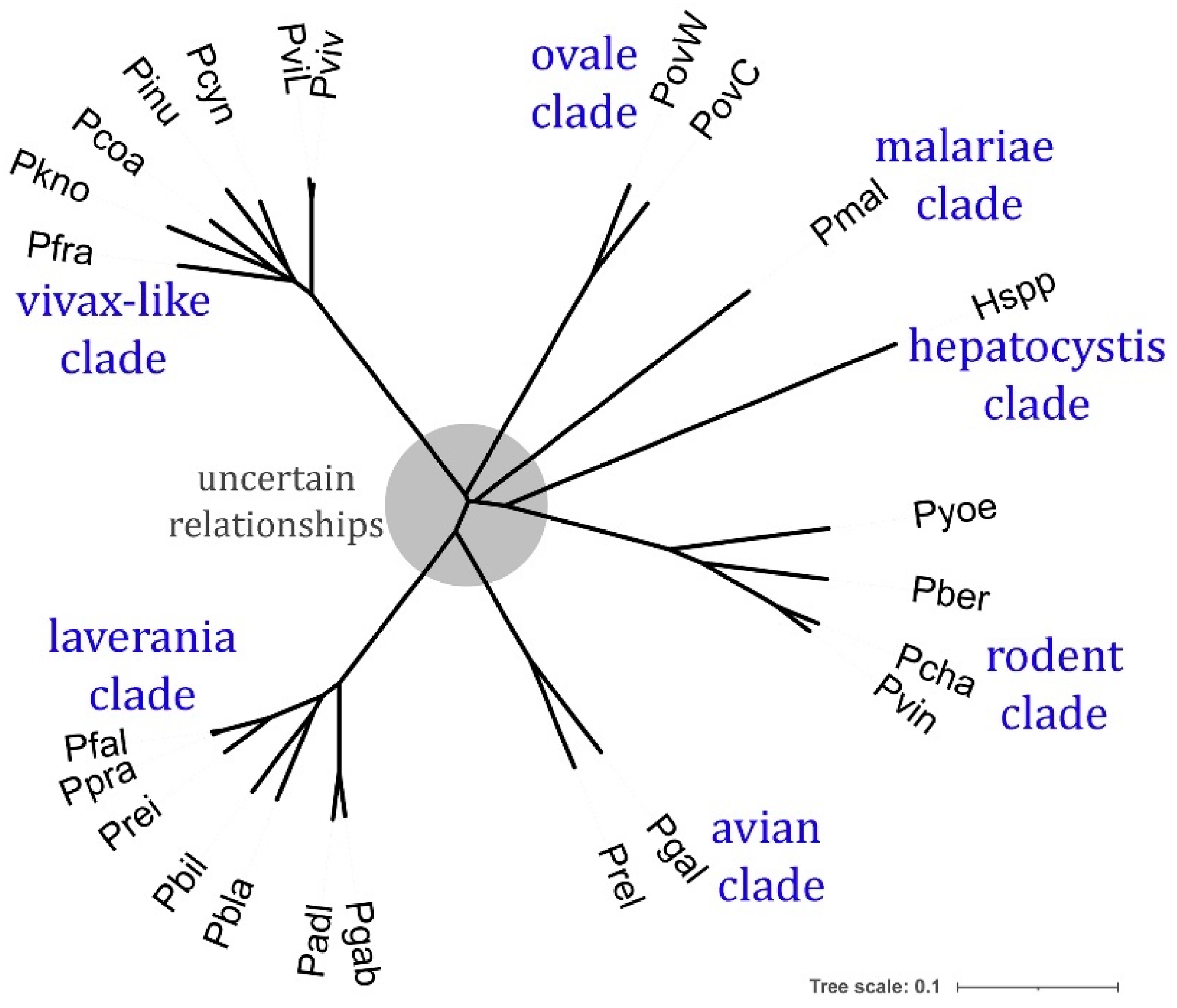 Parasitologia 05 00006 g001
