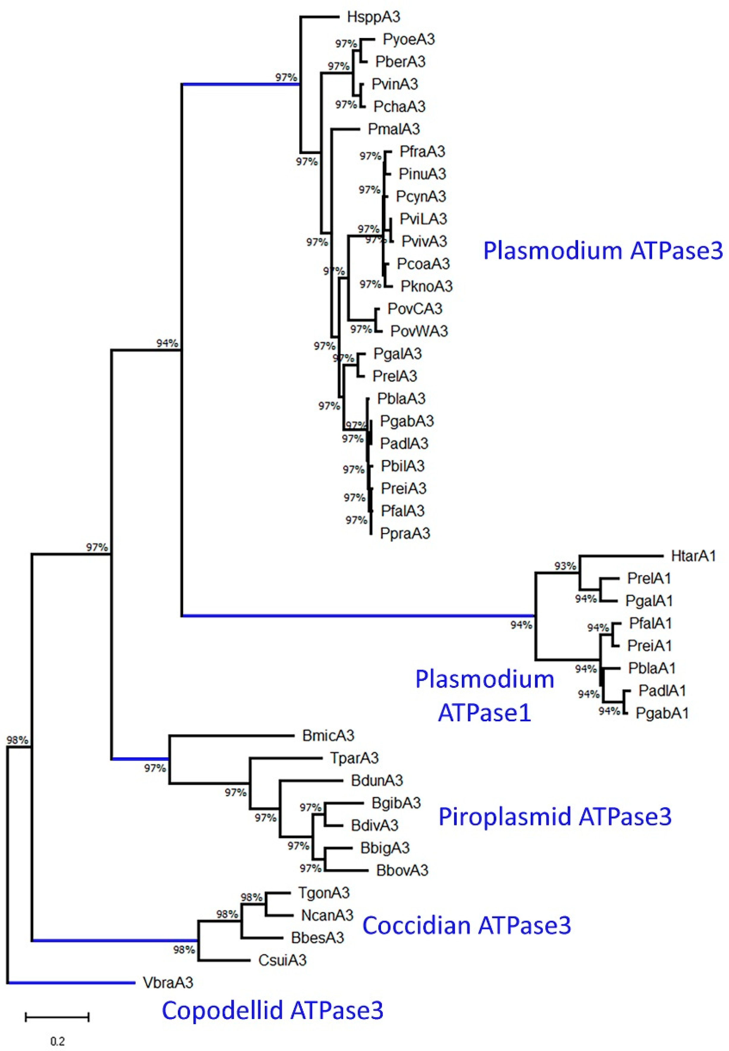 Parasitologia 05 00006 g002