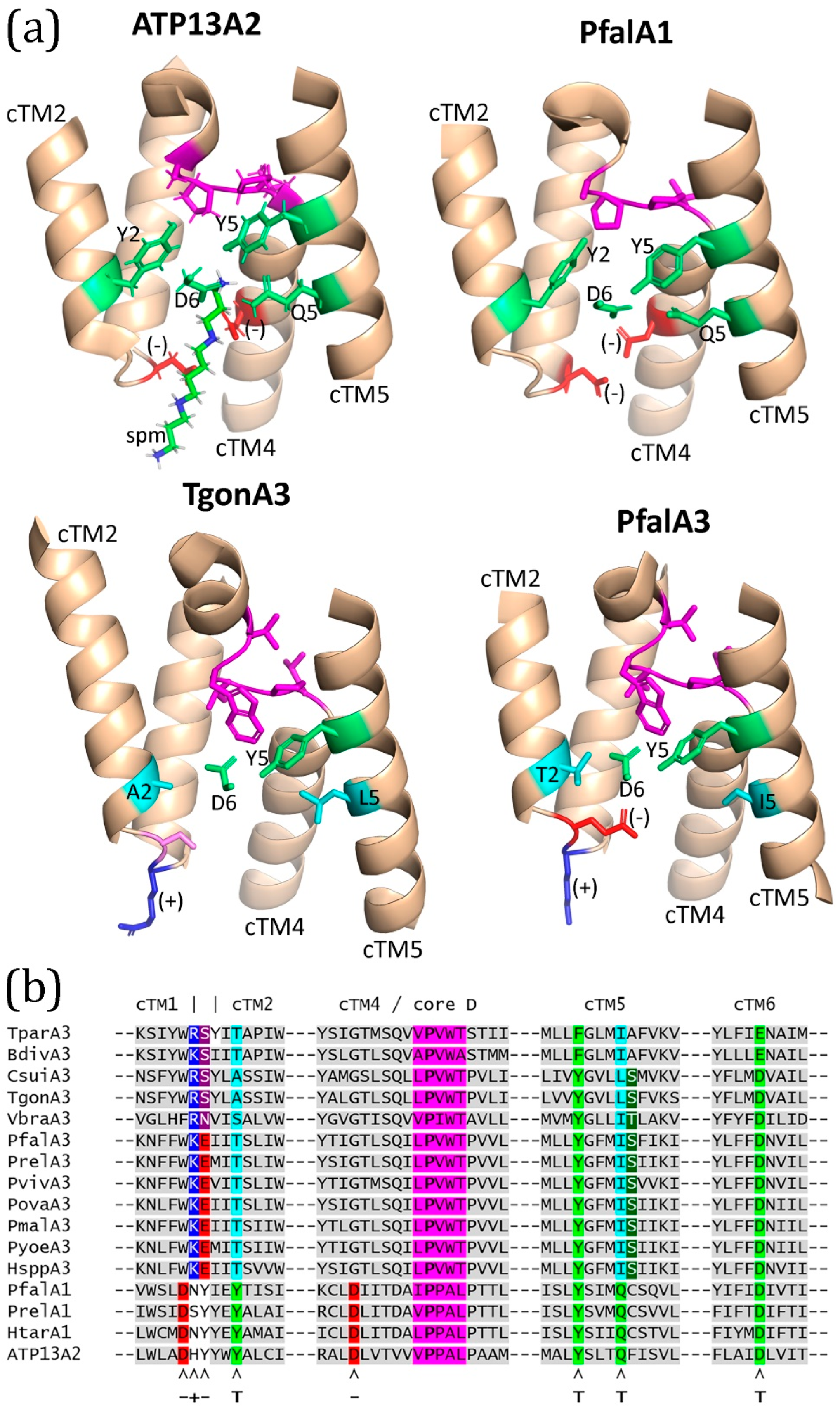 Parasitologia 05 00006 g005