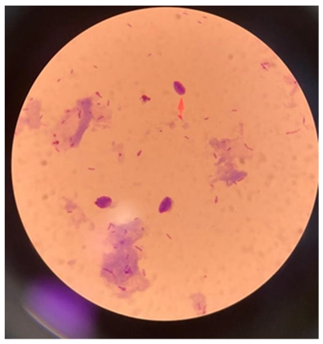 Parasitologia 05 00015 g001